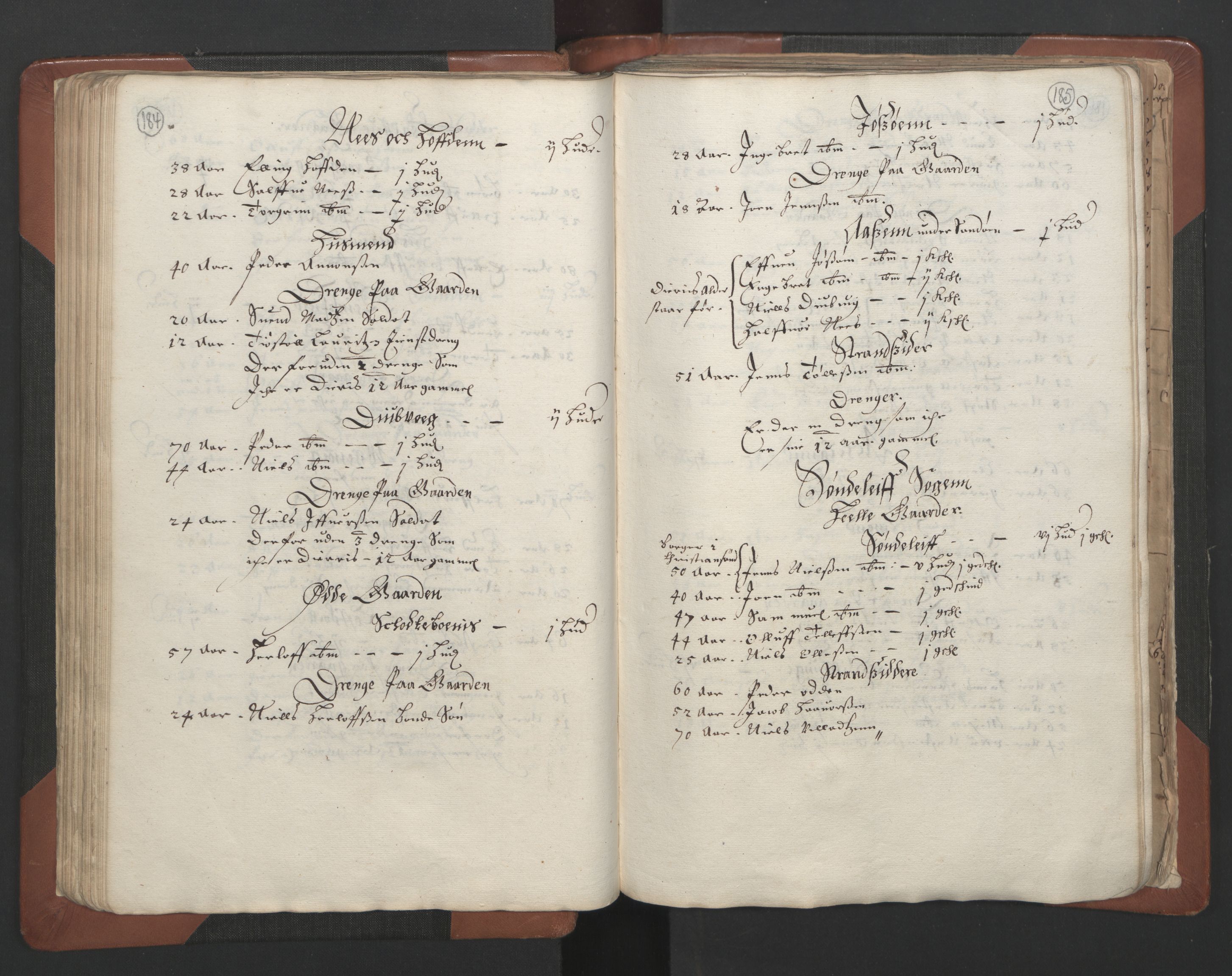 RA, Bailiff's Census 1664-1666, no. 7: Nedenes fogderi, 1664-1666, p. 184-185