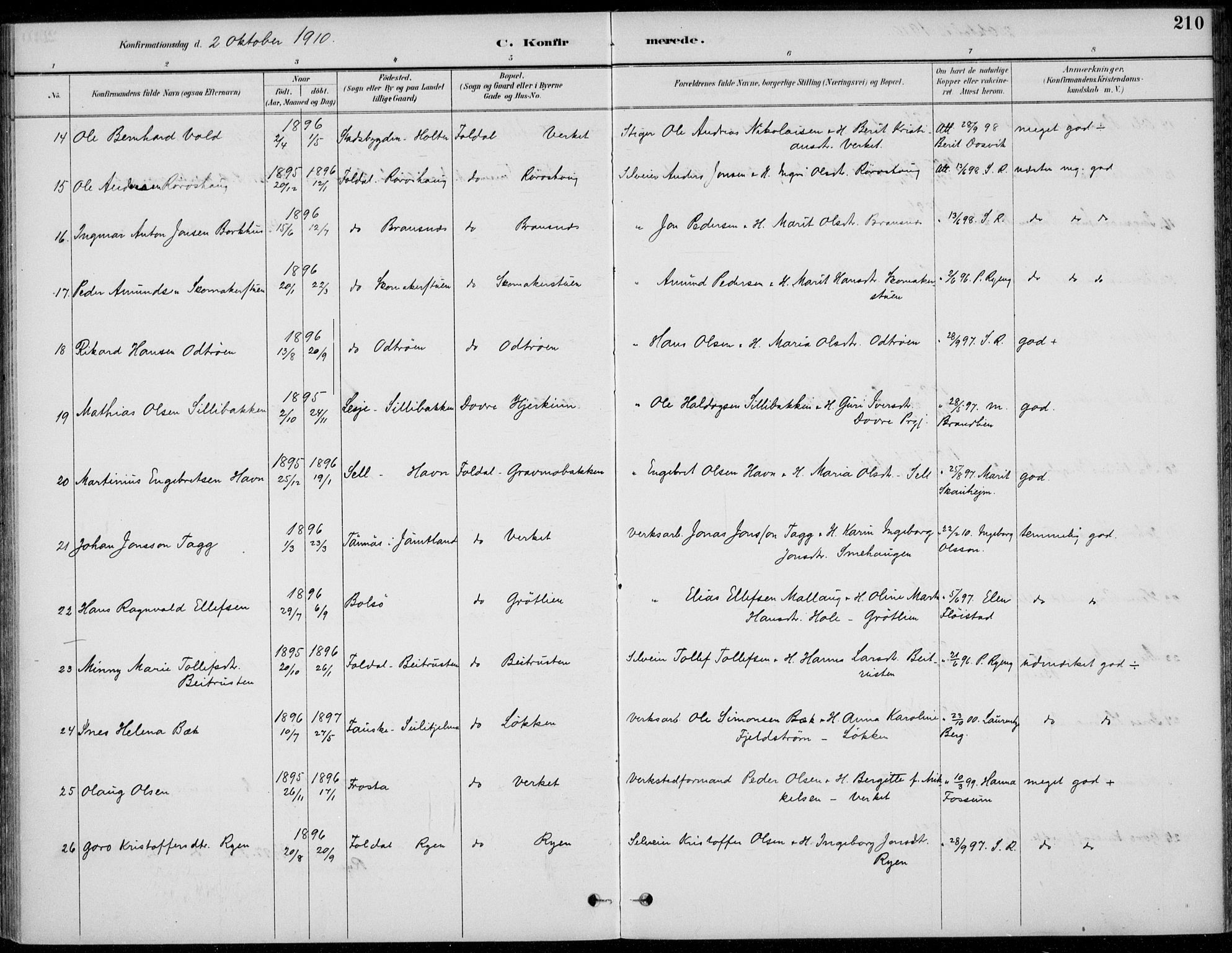 Alvdal prestekontor, AV/SAH-PREST-060/H/Ha/Haa/L0003: Parish register (official) no. 3, 1886-1912, p. 210