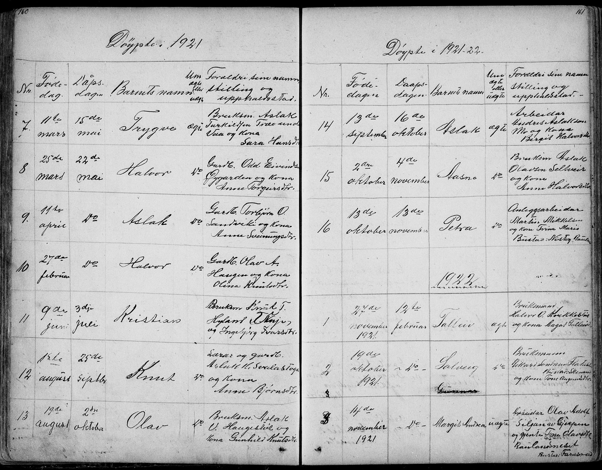 Rauland kirkebøker, SAKO/A-292/G/Ga/L0002: Parish register (copy) no. I 2, 1849-1935, p. 160-161