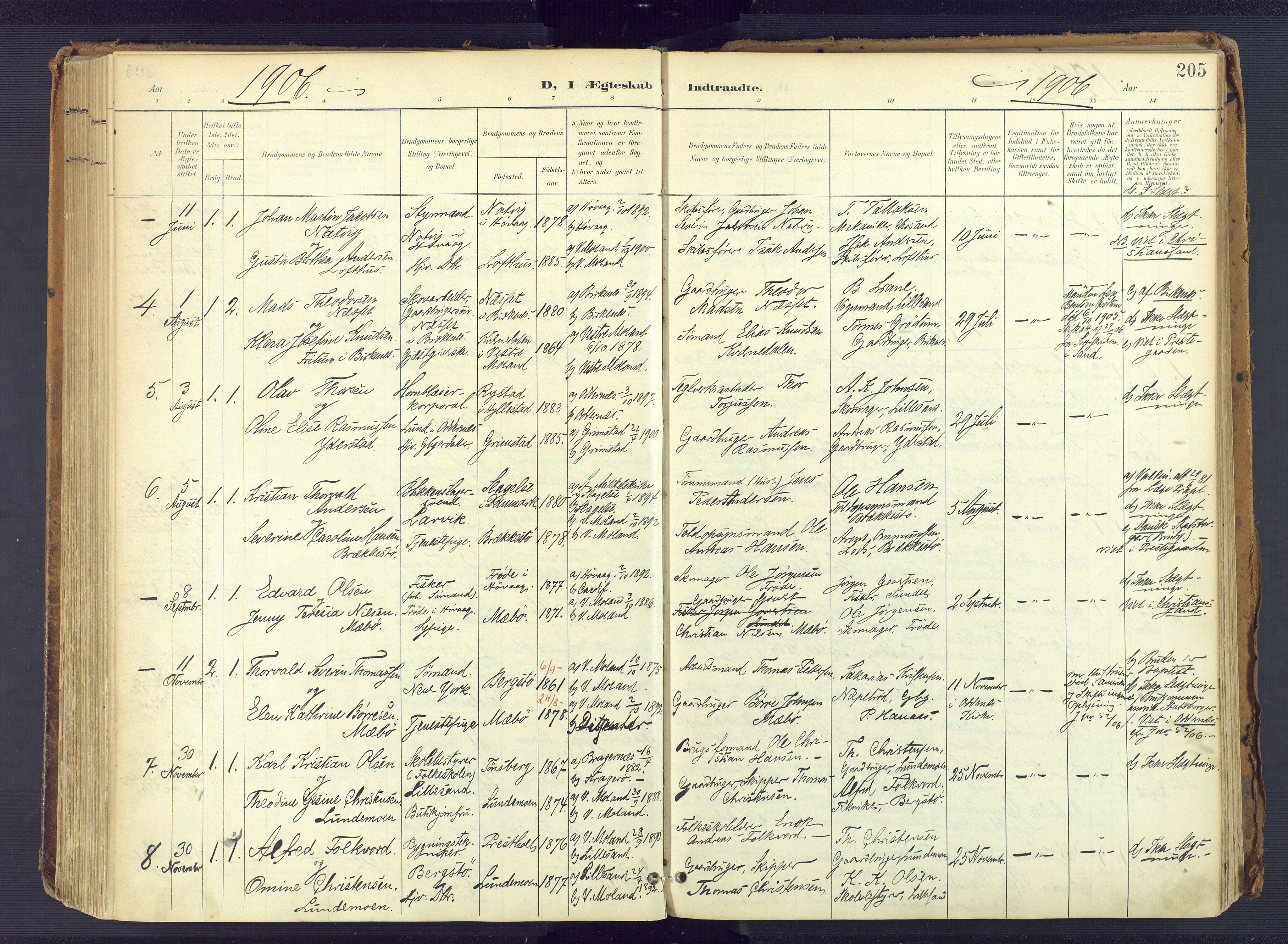 Vestre Moland sokneprestkontor, SAK/1111-0046/F/Fa/Fab/L0010: Parish register (official) no. A 10, 1900-1926, p. 205