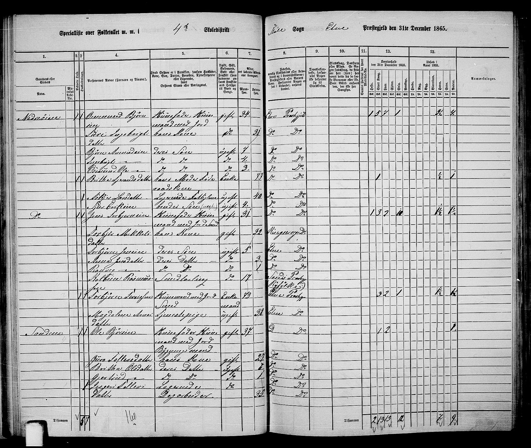 RA, 1865 census for Etne, 1865, p. 33