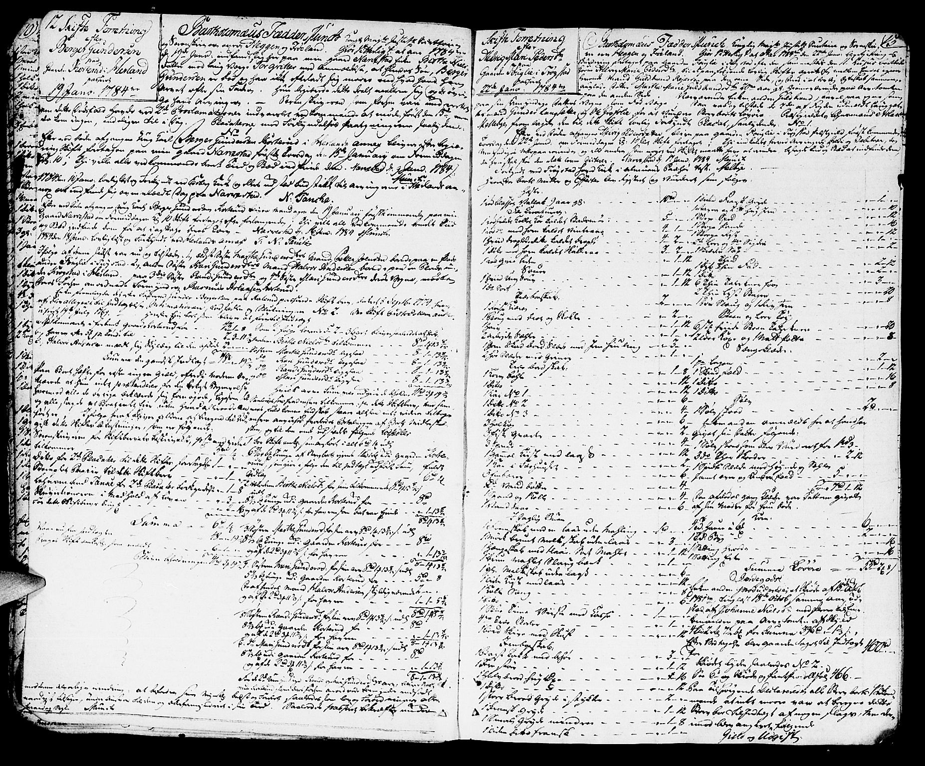 Heggen og Frøland sorenskriveri I, AV/SAO-A-11556/H/Hb/L0008: Skifteprotokoll, 1784-1789, p. 12-13