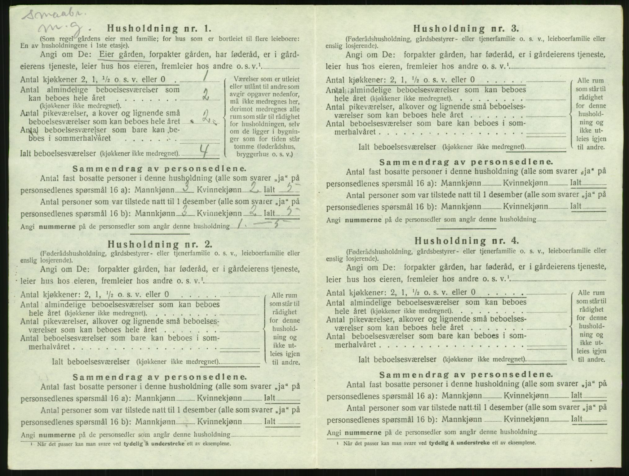 SAT, 1920 census for Bolsøy, 1920, p. 1024