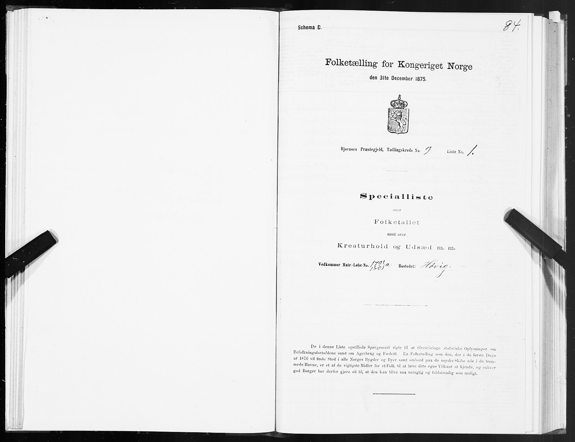 SAT, 1875 census for 1632P Bjørnør, 1875, p. 4084