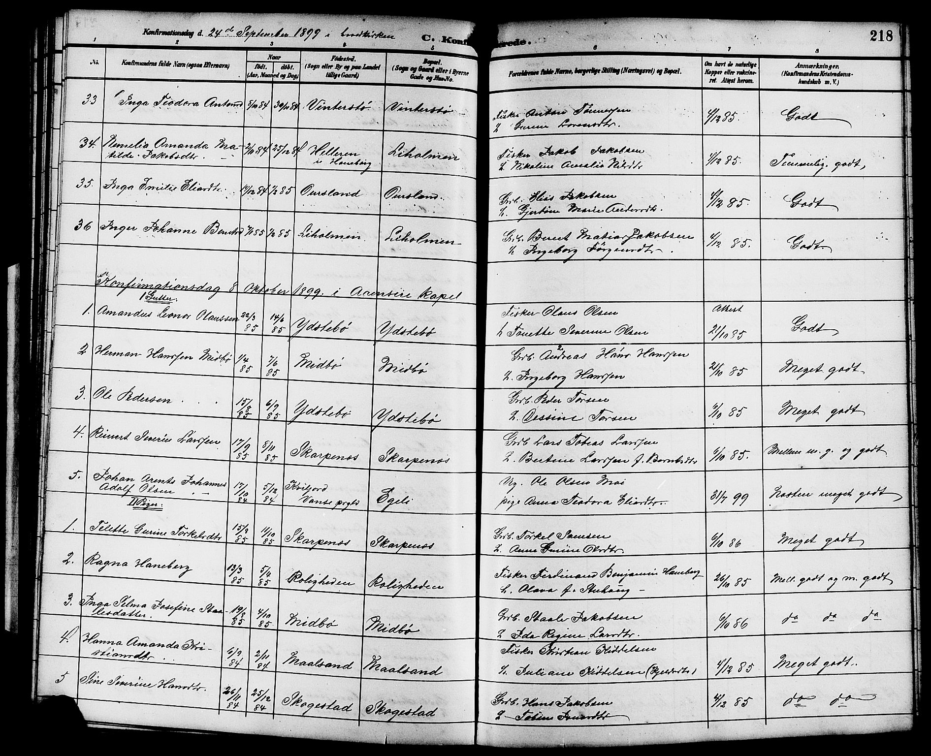 Sokndal sokneprestkontor, AV/SAST-A-101808: Parish register (copy) no. B 6, 1892-1907, p. 218