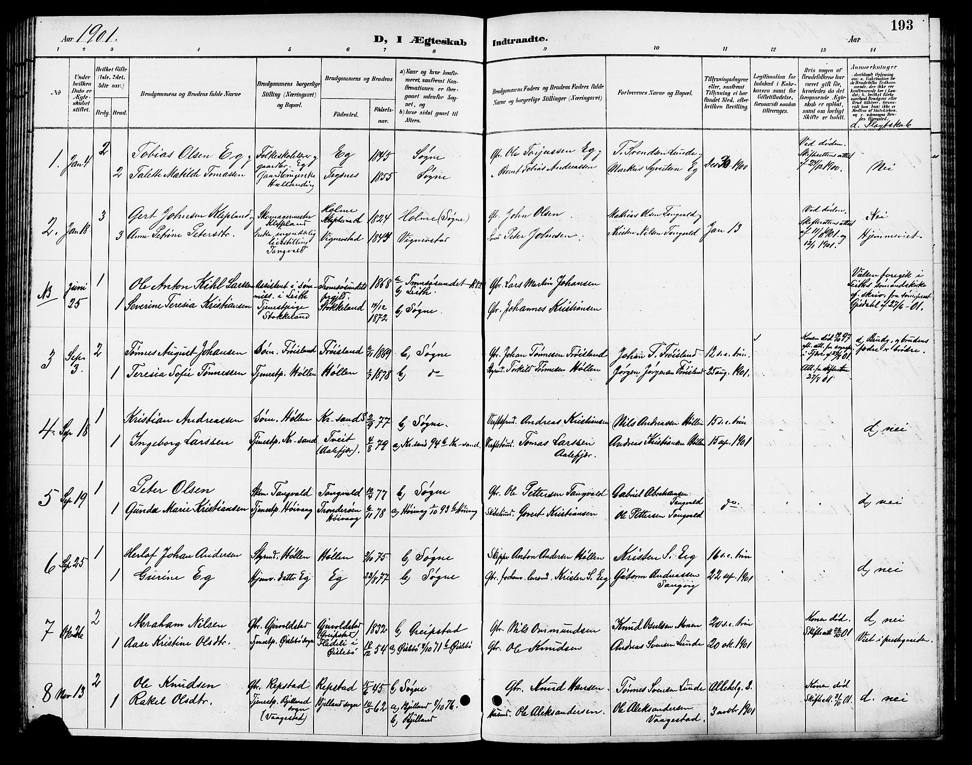Søgne sokneprestkontor, SAK/1111-0037/F/Fb/Fbb/L0006: Parish register (copy) no. B 6, 1892-1911, p. 193