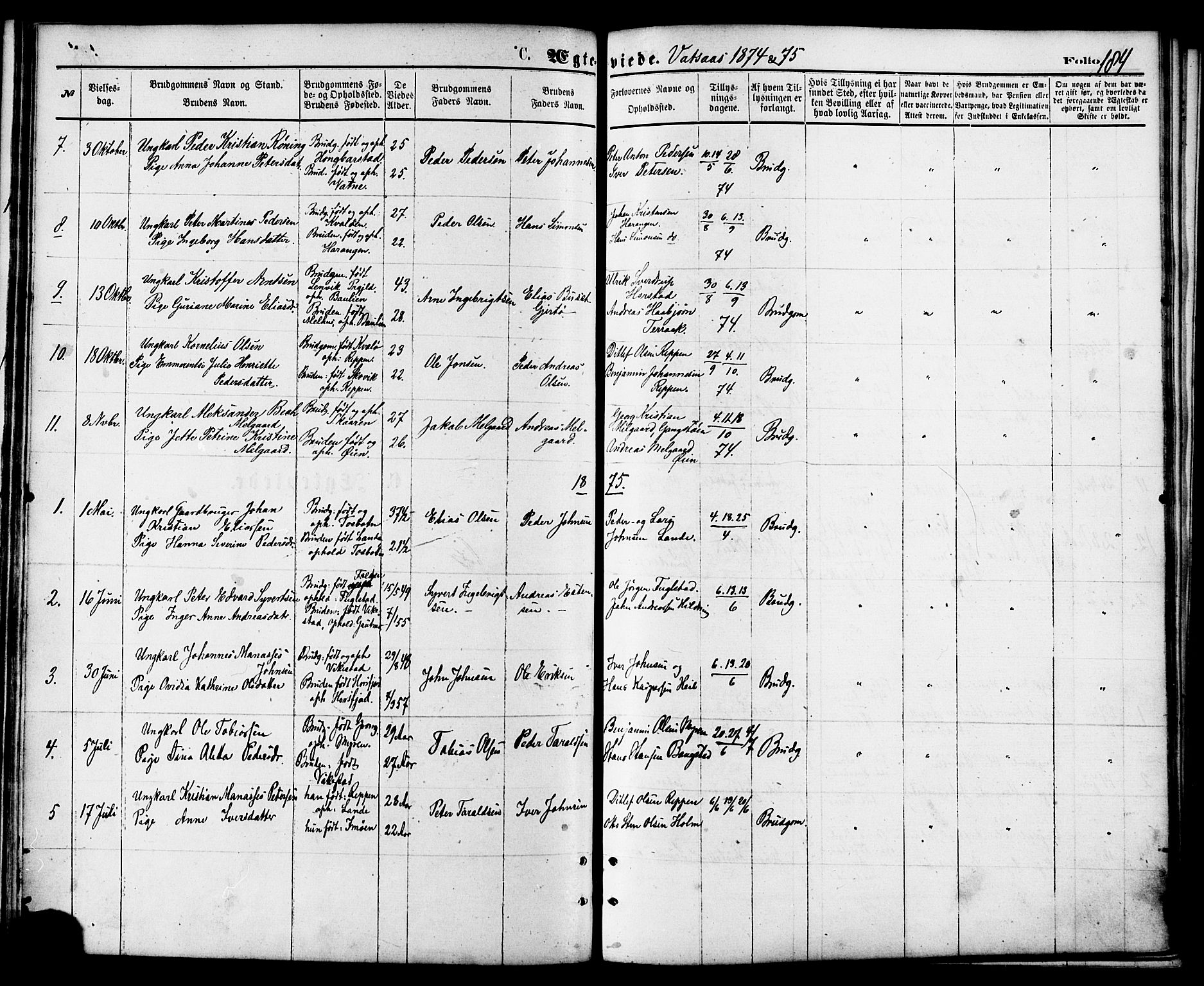 Ministerialprotokoller, klokkerbøker og fødselsregistre - Nordland, AV/SAT-A-1459/810/L0148: Parish register (official) no. 810A09 /1, 1874-1884, p. 184