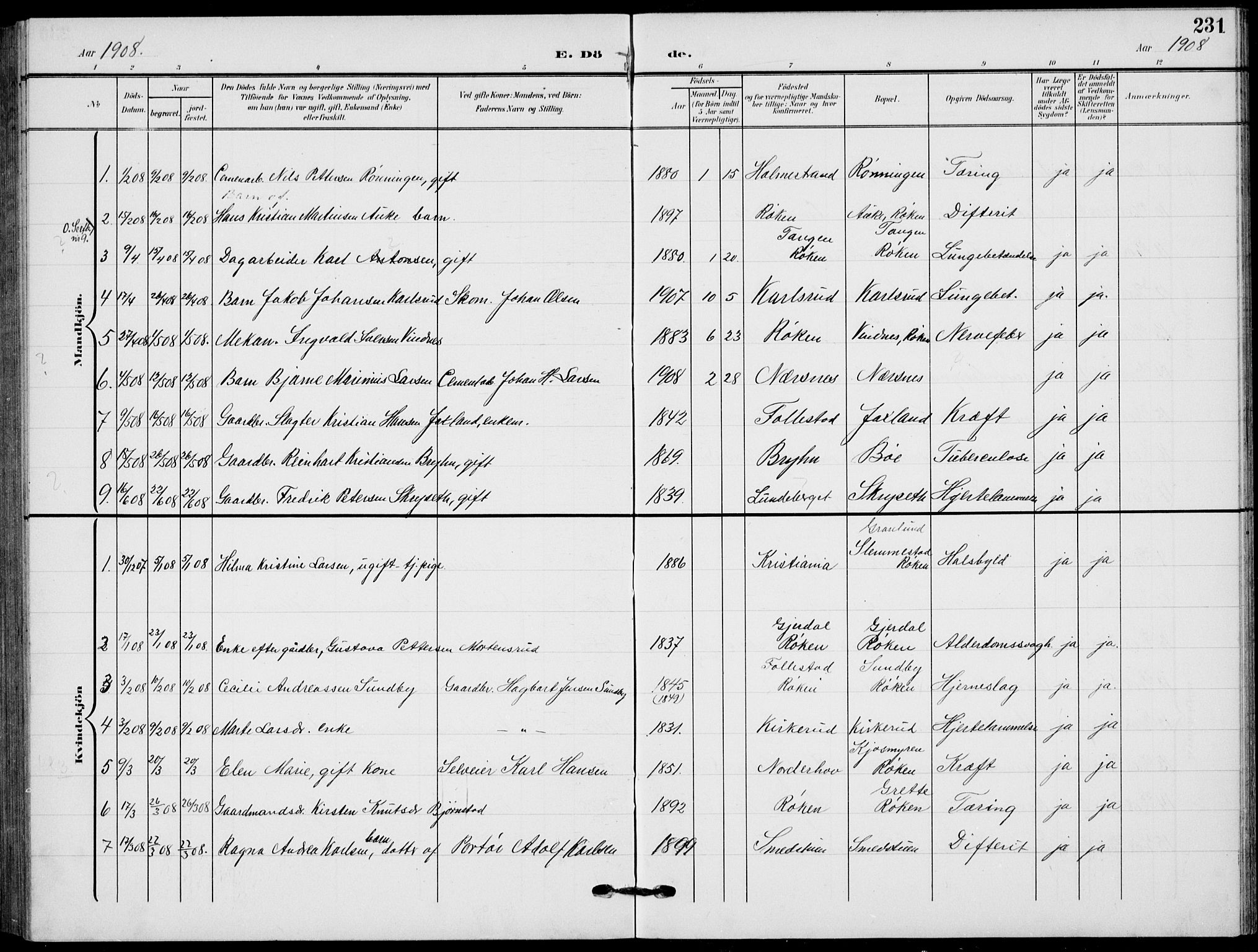 Røyken kirkebøker, AV/SAKO-A-241/G/Ga/L0005: Parish register (copy) no. 5, 1903-1918, p. 231