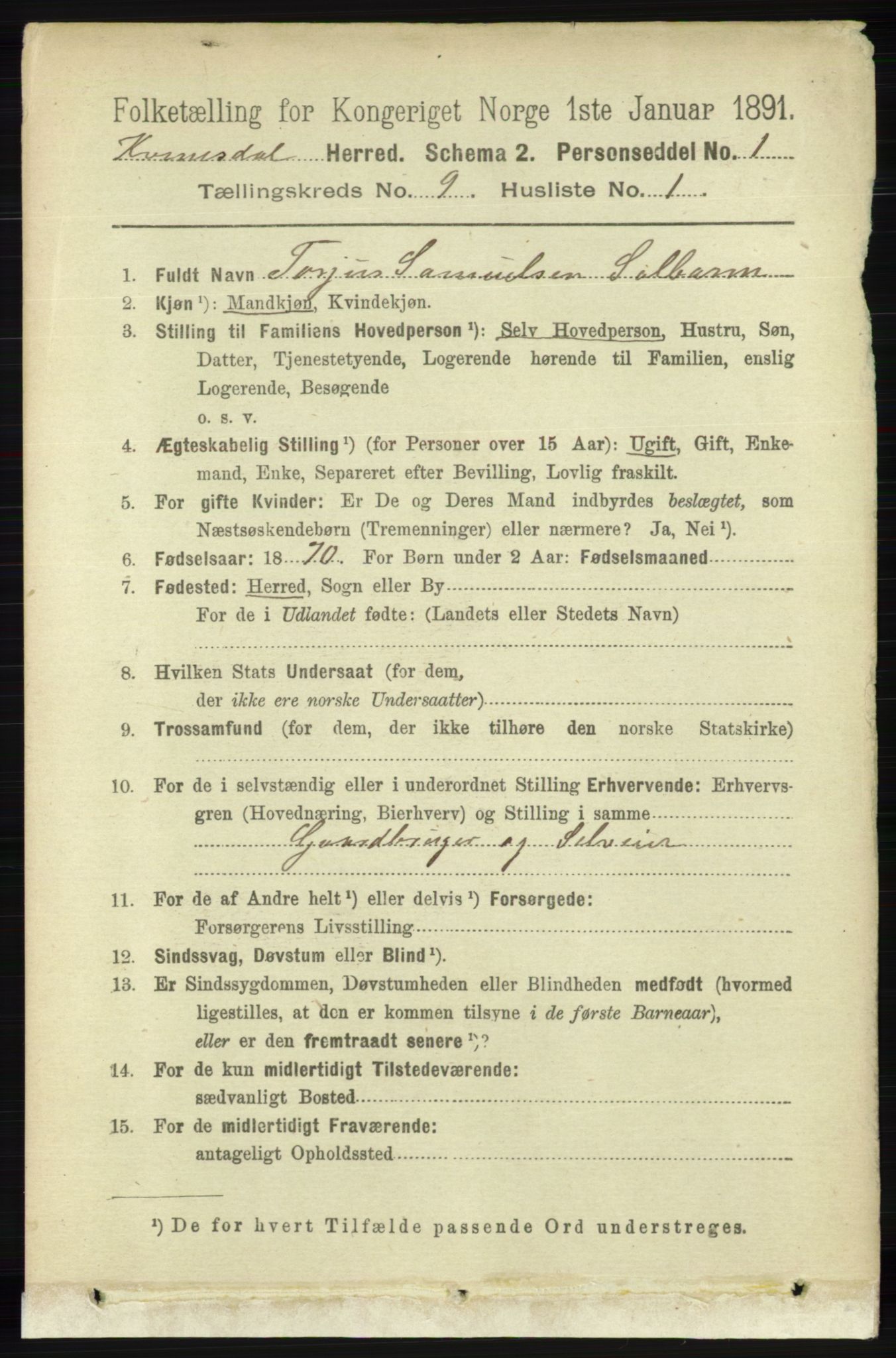 RA, 1891 census for 1037 Kvinesdal, 1891, p. 3293