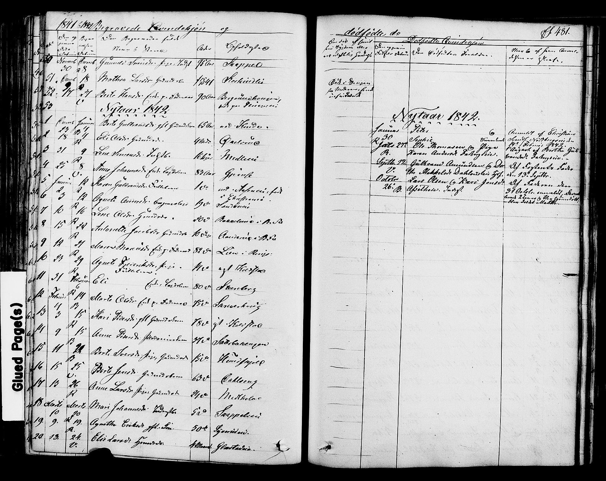 Ringsaker prestekontor, SAH/PREST-014/K/Ka/L0008: Parish register (official) no. 8, 1837-1850, p. 481