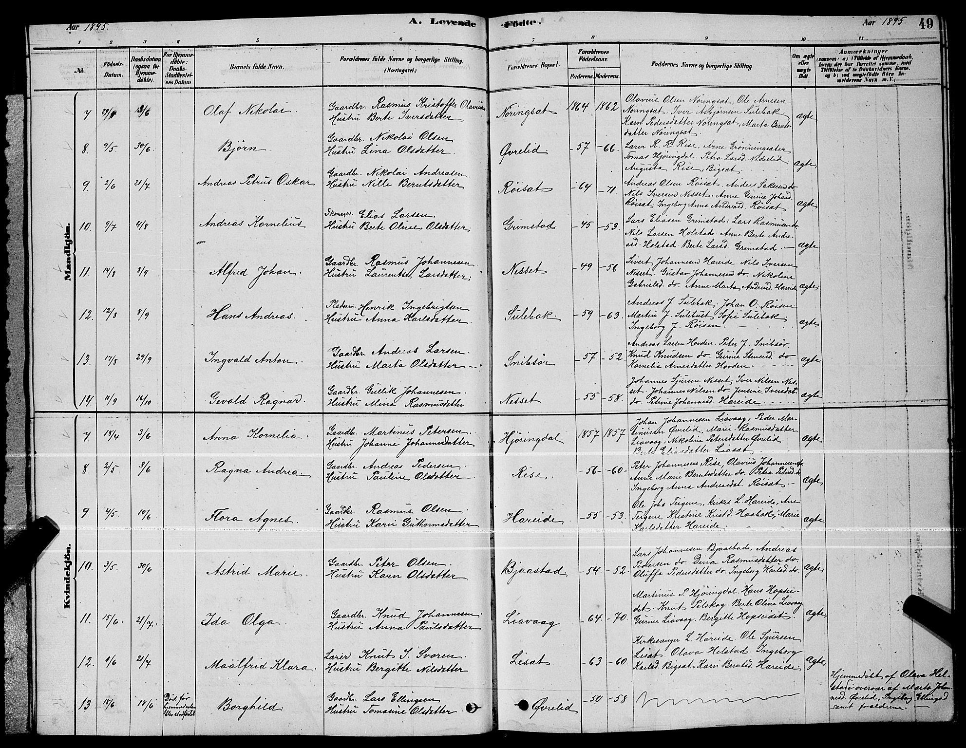 Ministerialprotokoller, klokkerbøker og fødselsregistre - Møre og Romsdal, AV/SAT-A-1454/510/L0125: Parish register (copy) no. 510C02, 1878-1900, p. 49