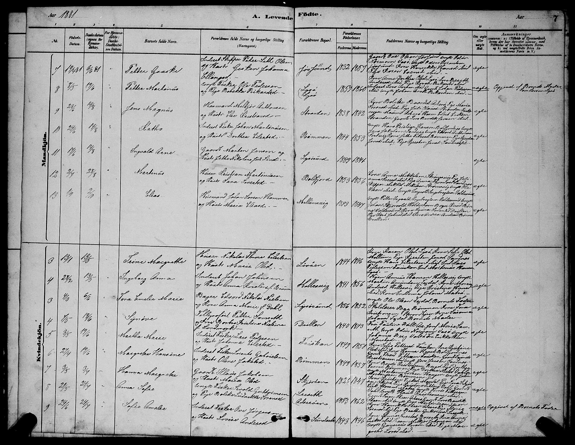 Ministerialprotokoller, klokkerbøker og fødselsregistre - Sør-Trøndelag, SAT/A-1456/654/L0665: Parish register (copy) no. 654C01, 1879-1901, p. 7