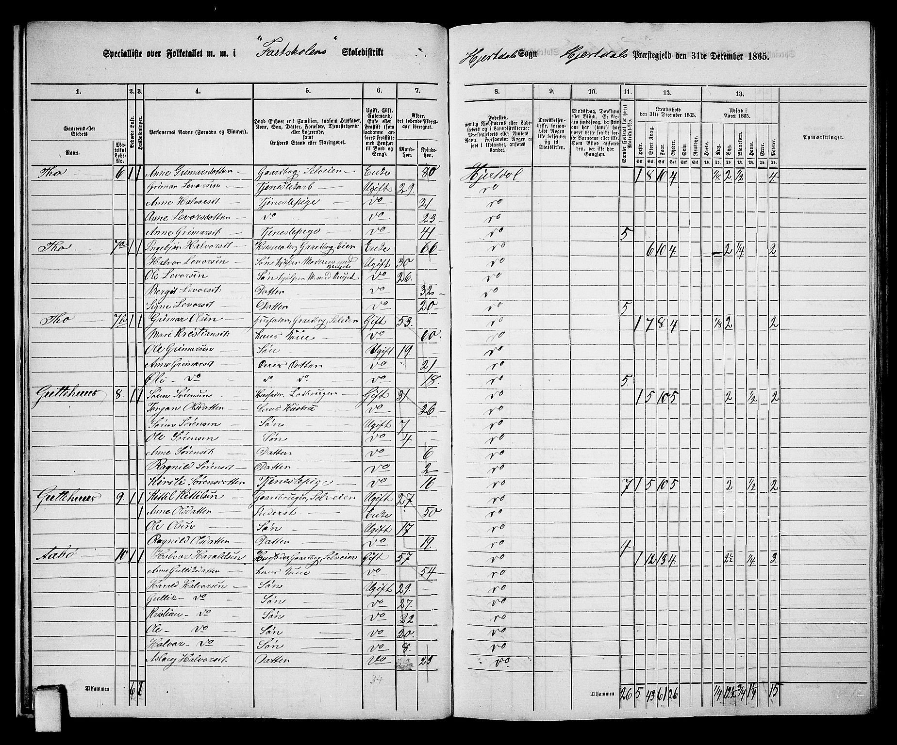 RA, 1865 census for Hjartdal, 1865, p. 14