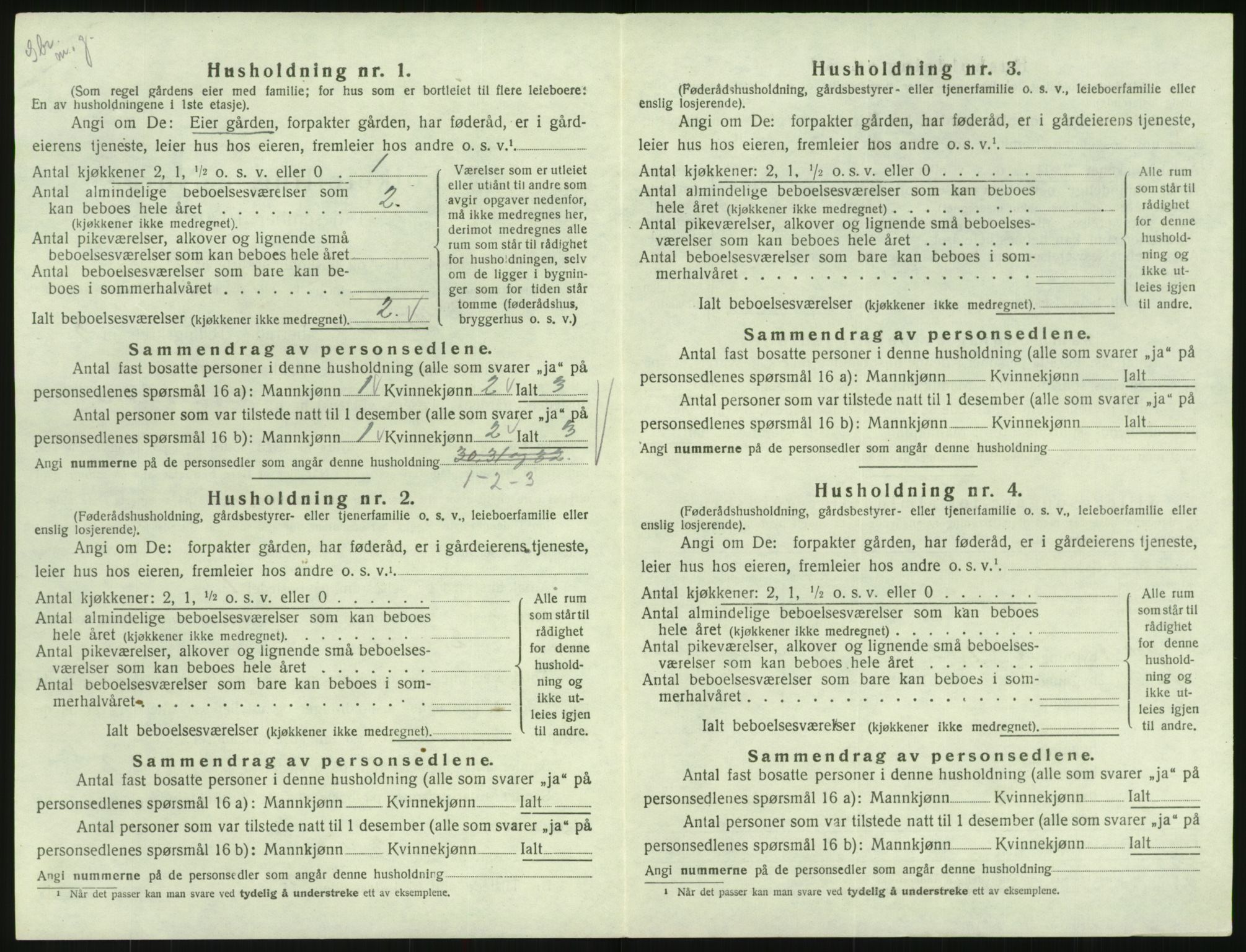 SAK, 1920 census for Hornnes, 1920, p. 214