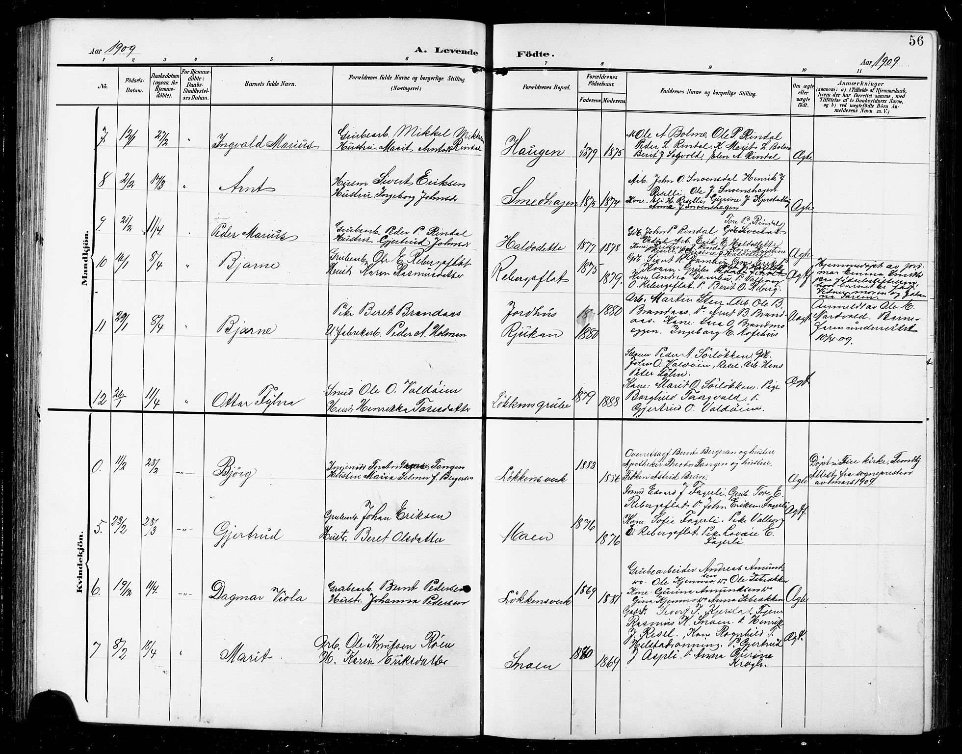 Ministerialprotokoller, klokkerbøker og fødselsregistre - Sør-Trøndelag, SAT/A-1456/672/L0864: Parish register (copy) no. 672C03, 1902-1914, p. 56