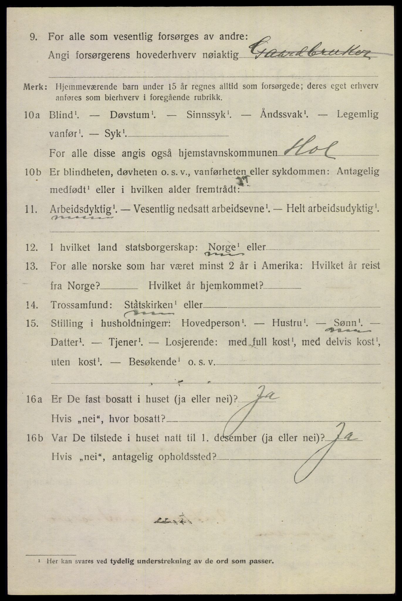 SAKO, 1920 census for Hol (Buskerud), 1920, p. 3774