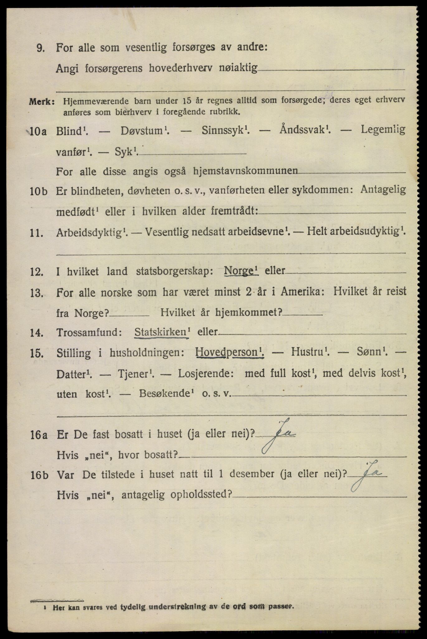 SAKO, 1920 census for Hovin, 1920, p. 358