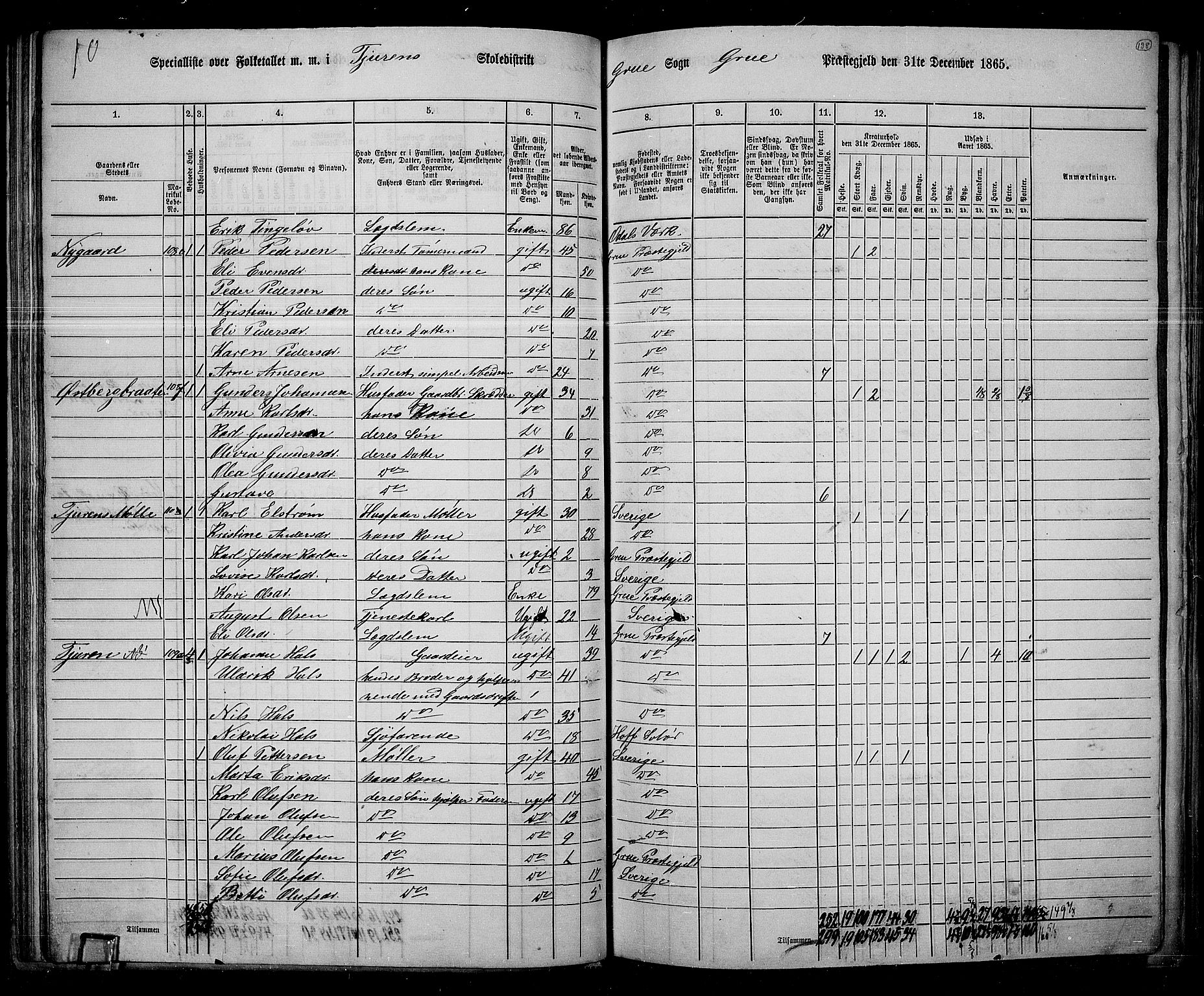 RA, 1865 census for Grue, 1865, p. 117