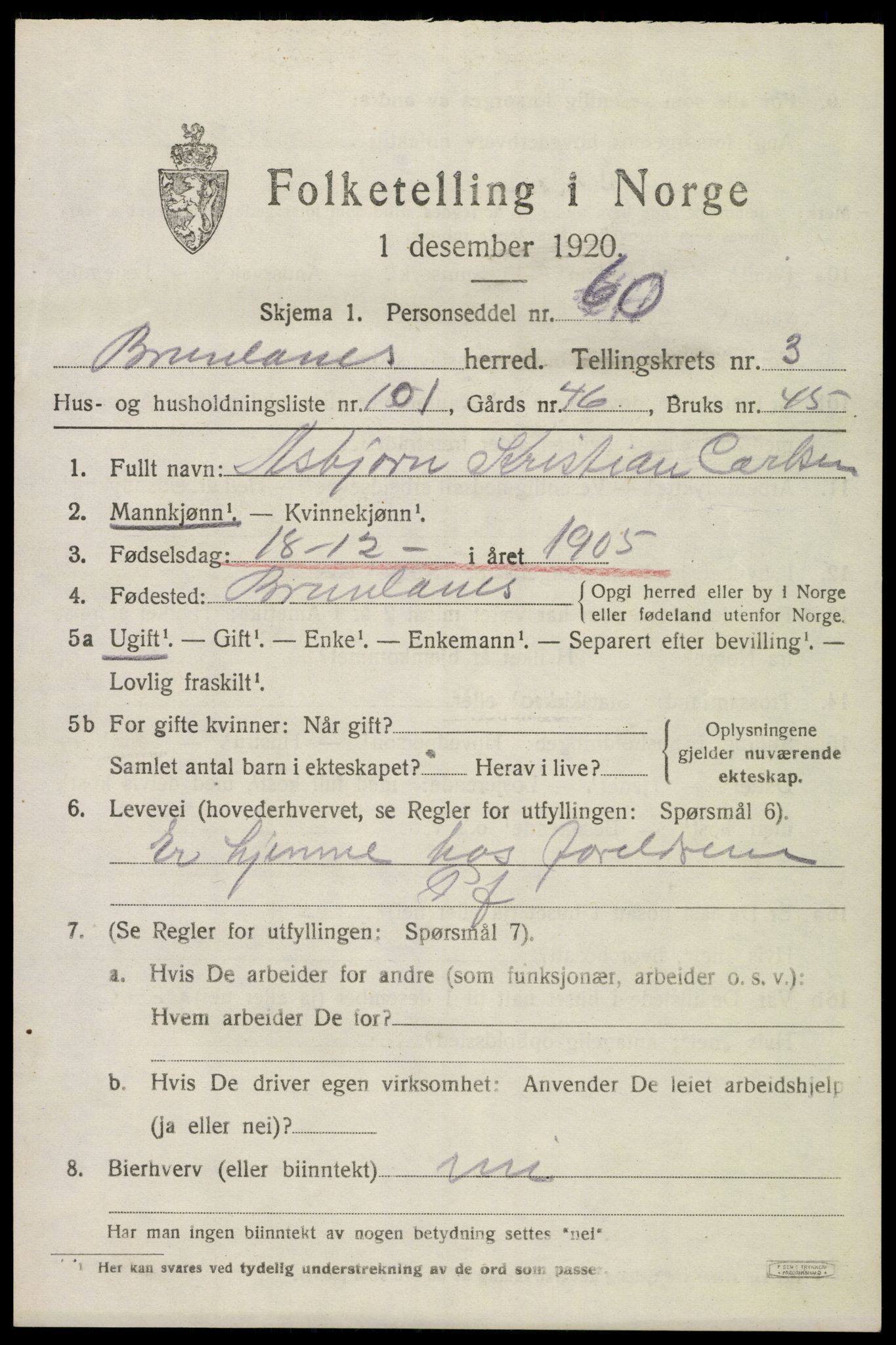 SAKO, 1920 census for Brunlanes, 1920, p. 6087