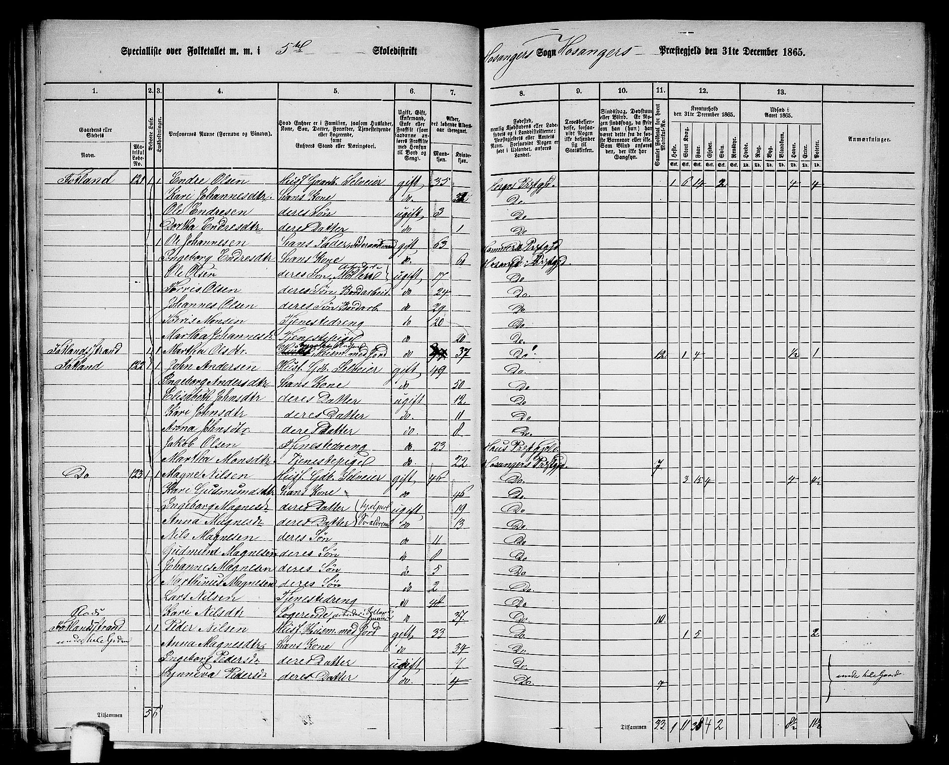 RA, 1865 census for Hosanger, 1865, p. 38