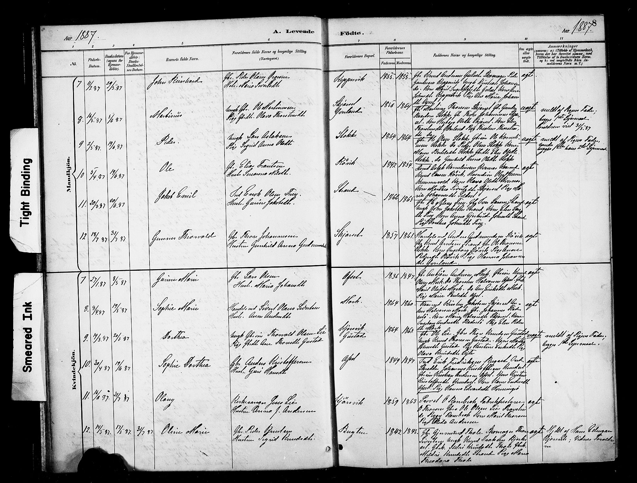 Ministerialprotokoller, klokkerbøker og fødselsregistre - Møre og Romsdal, AV/SAT-A-1454/568/L0809: Parish register (official) no. 568A13, 1884-1900, p. 8