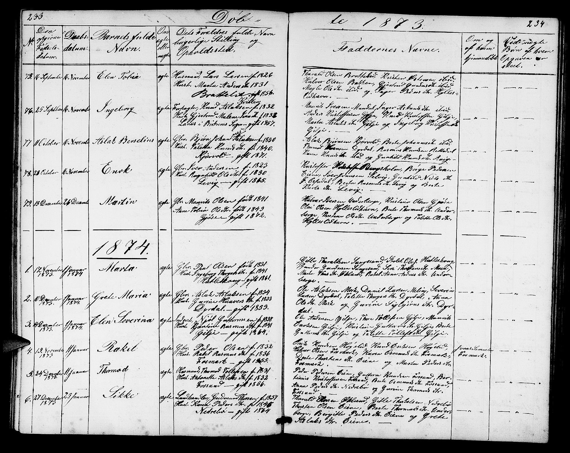 Høgsfjord sokneprestkontor, SAST/A-101624/H/Ha/Hab/L0002: Parish register (copy) no. B 2, 1855-1882, p. 233-234