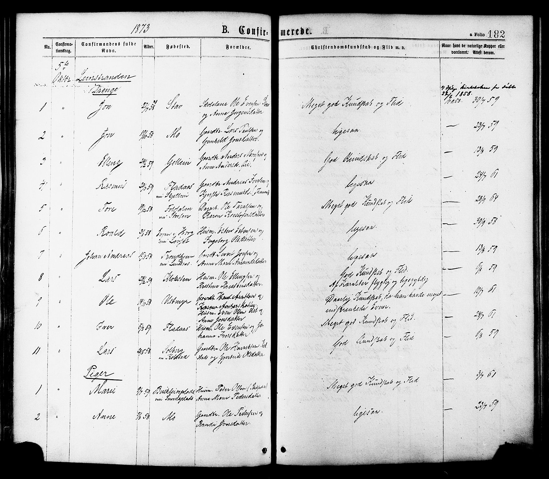 Ministerialprotokoller, klokkerbøker og fødselsregistre - Sør-Trøndelag, AV/SAT-A-1456/691/L1079: Parish register (official) no. 691A11, 1873-1886, p. 182