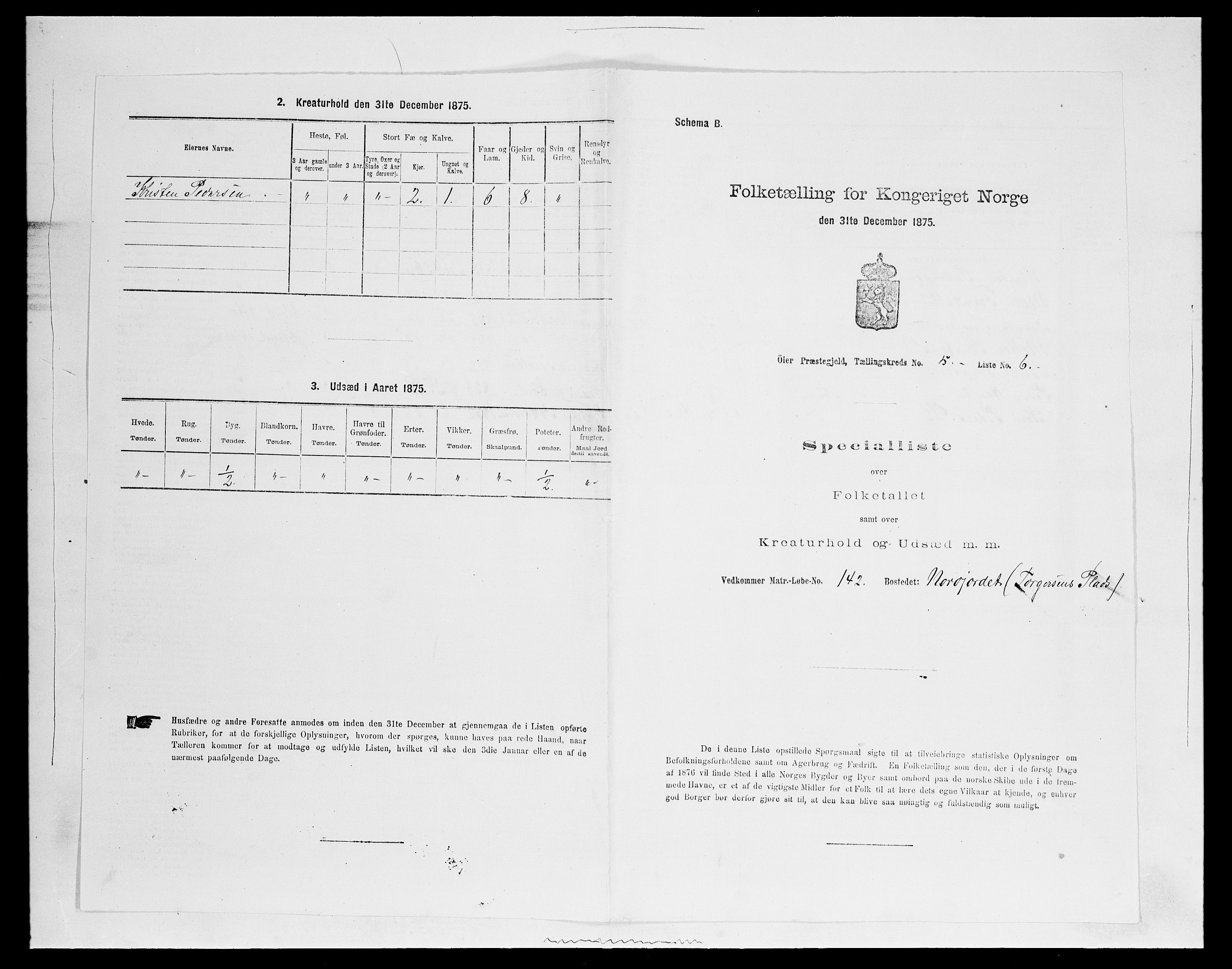 SAH, 1875 census for 0521P Øyer, 1875, p. 966