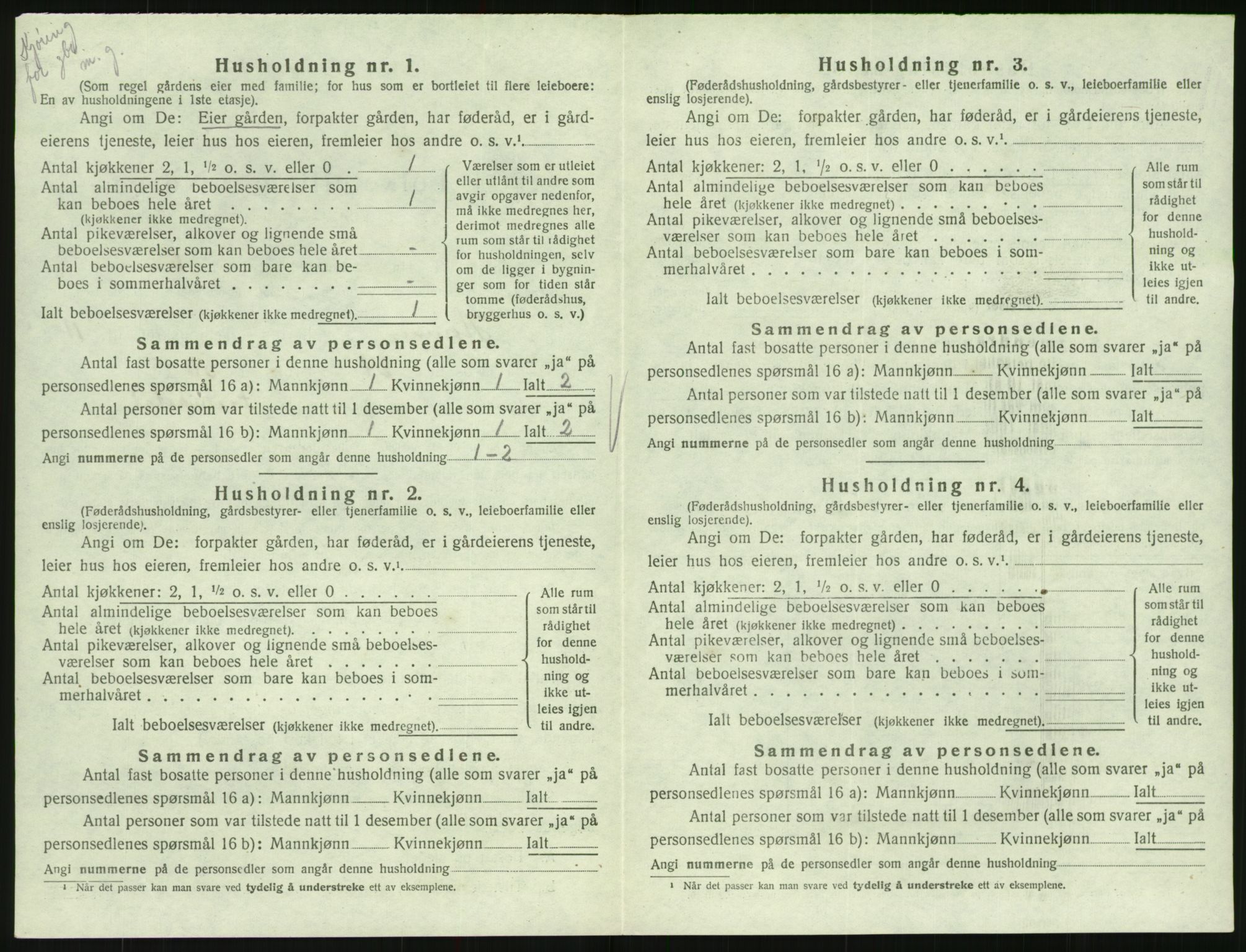 SAK, 1920 census for Hornnes, 1920, p. 442