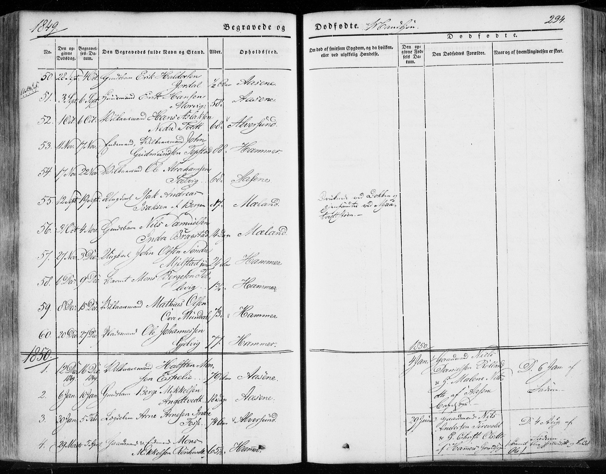 Hamre sokneprestembete, AV/SAB-A-75501/H/Ha/Haa/Haaa/L0013: Parish register (official) no. A 13, 1846-1857, p. 294