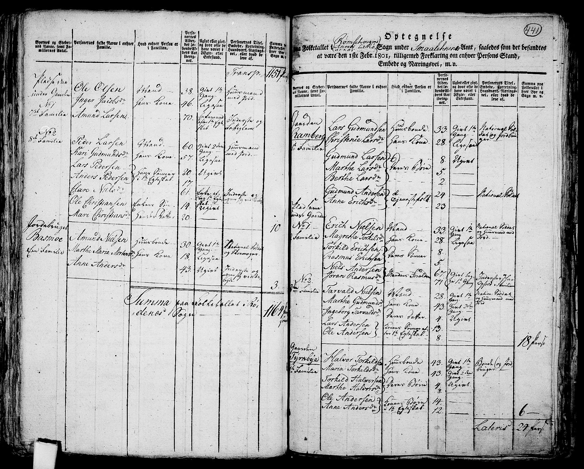 RA, 1801 census for 0120P Rødenes, 1801, p. 440b-441a