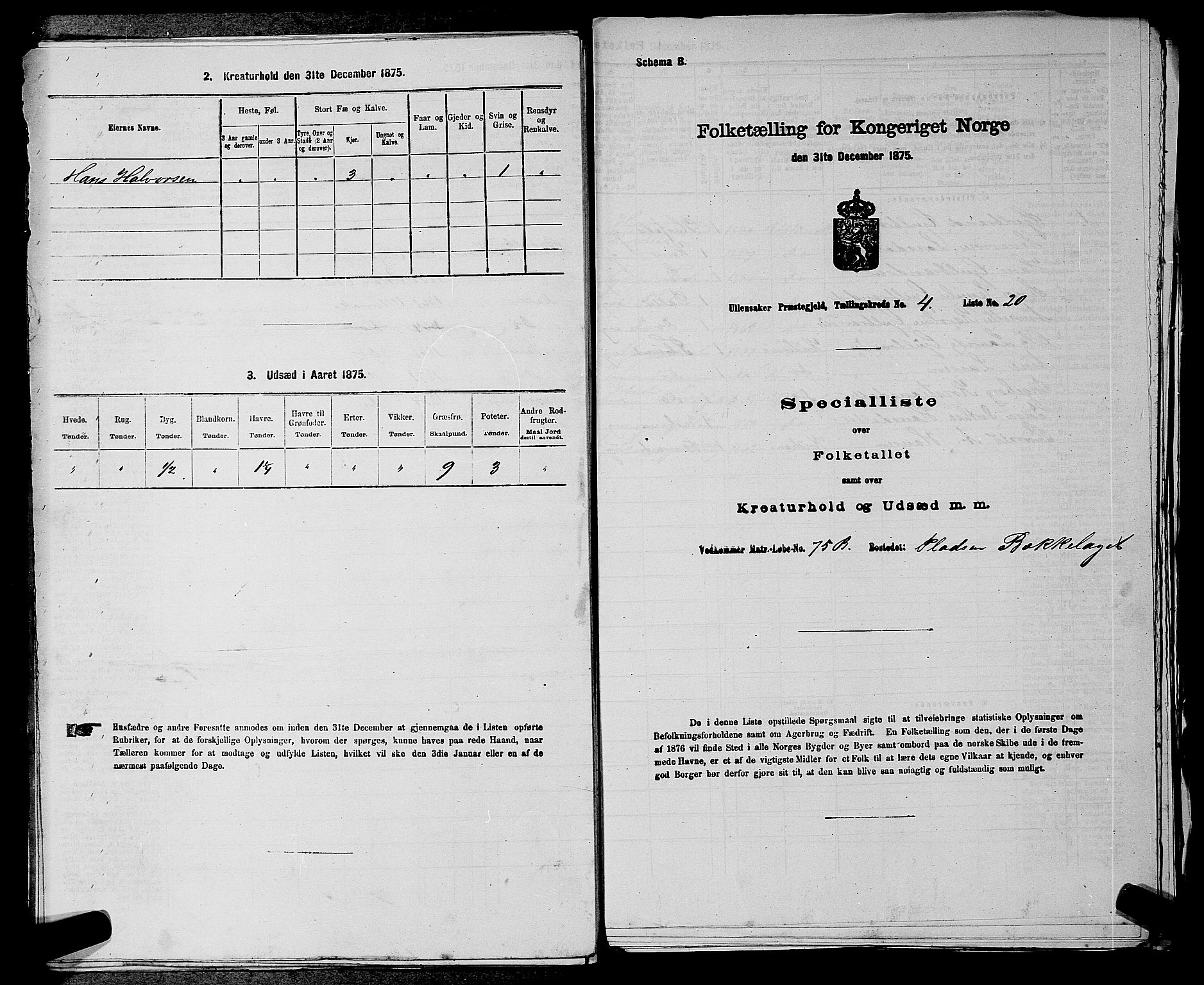 RA, 1875 census for 0235P Ullensaker, 1875, p. 515