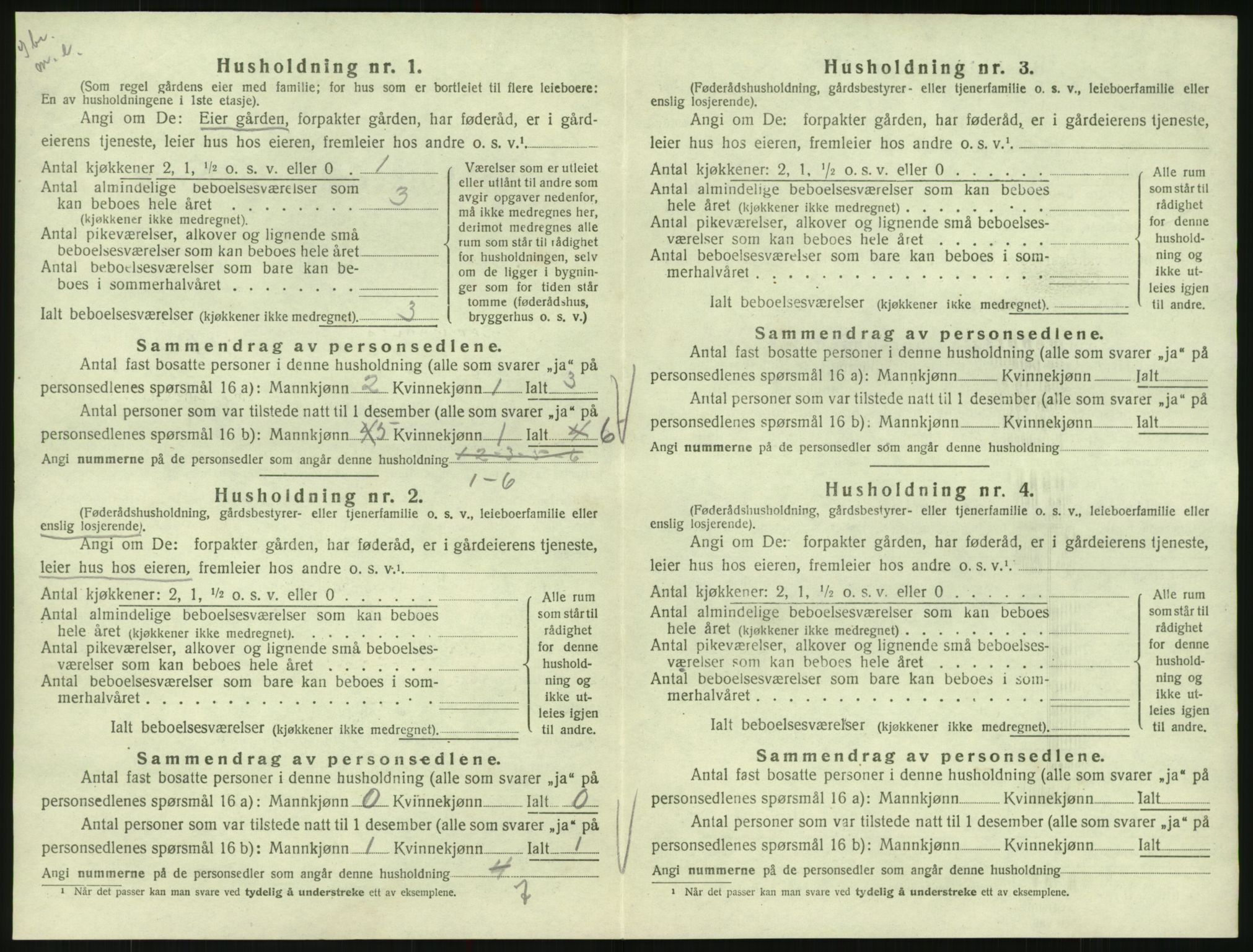 SAK, 1920 census for Hornnes, 1920, p. 544