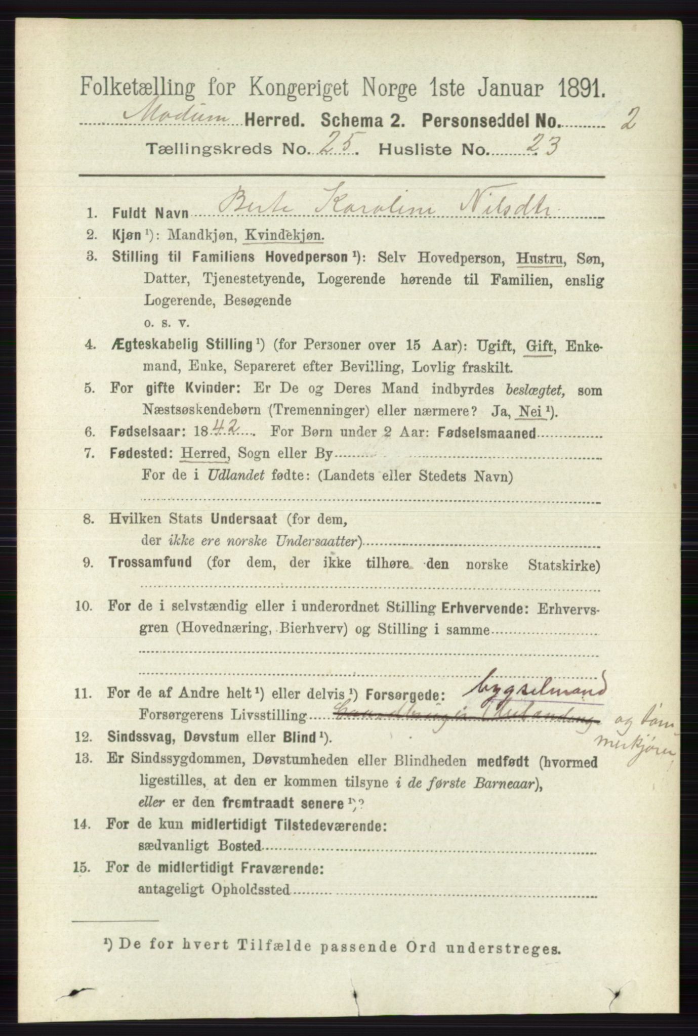 RA, 1891 census for 0623 Modum, 1891, p. 9150