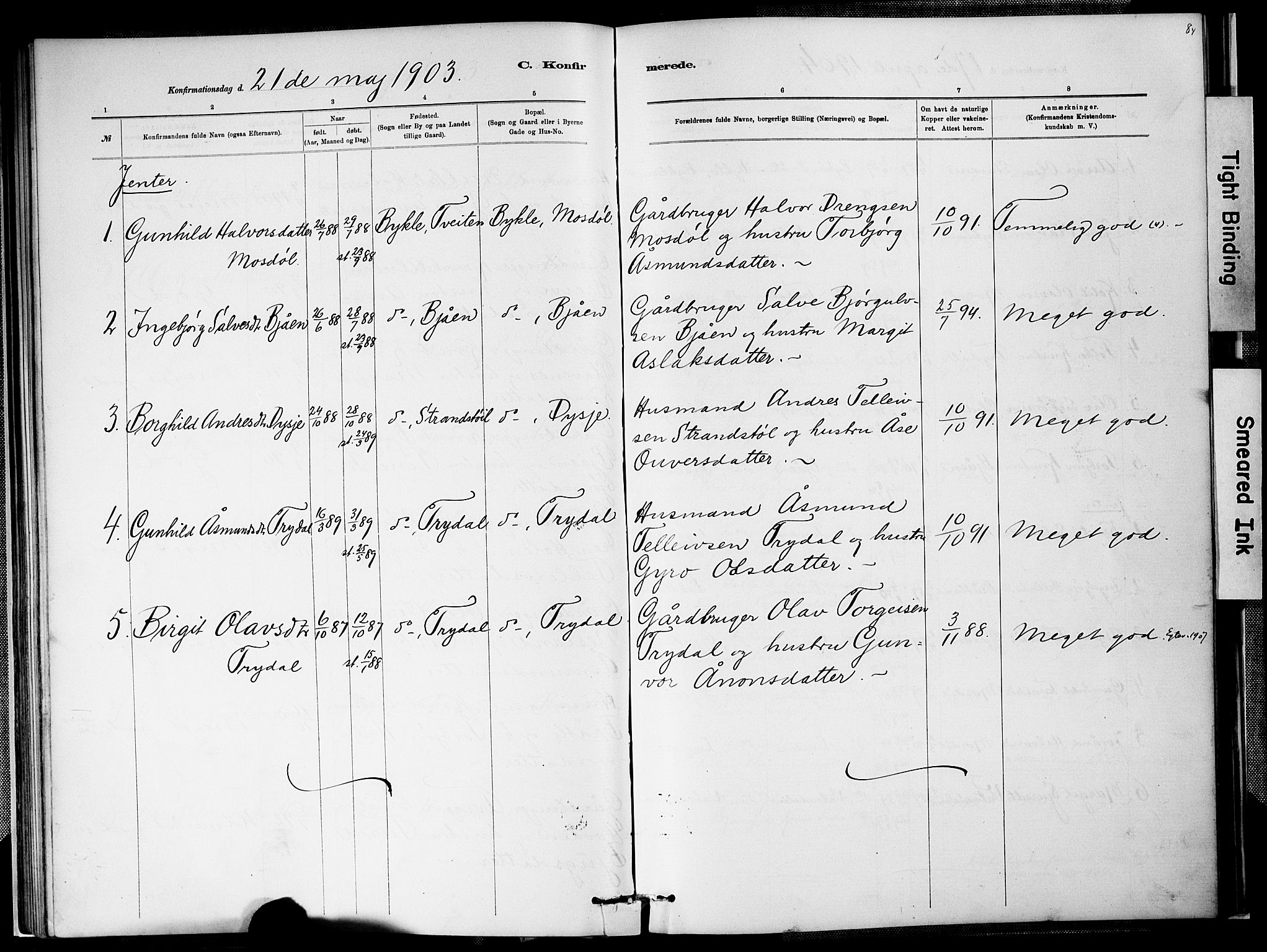 Valle sokneprestkontor, SAK/1111-0044/F/Fa/Faa/L0001: Parish register (official) no. A 1, 1882-1907, p. 84