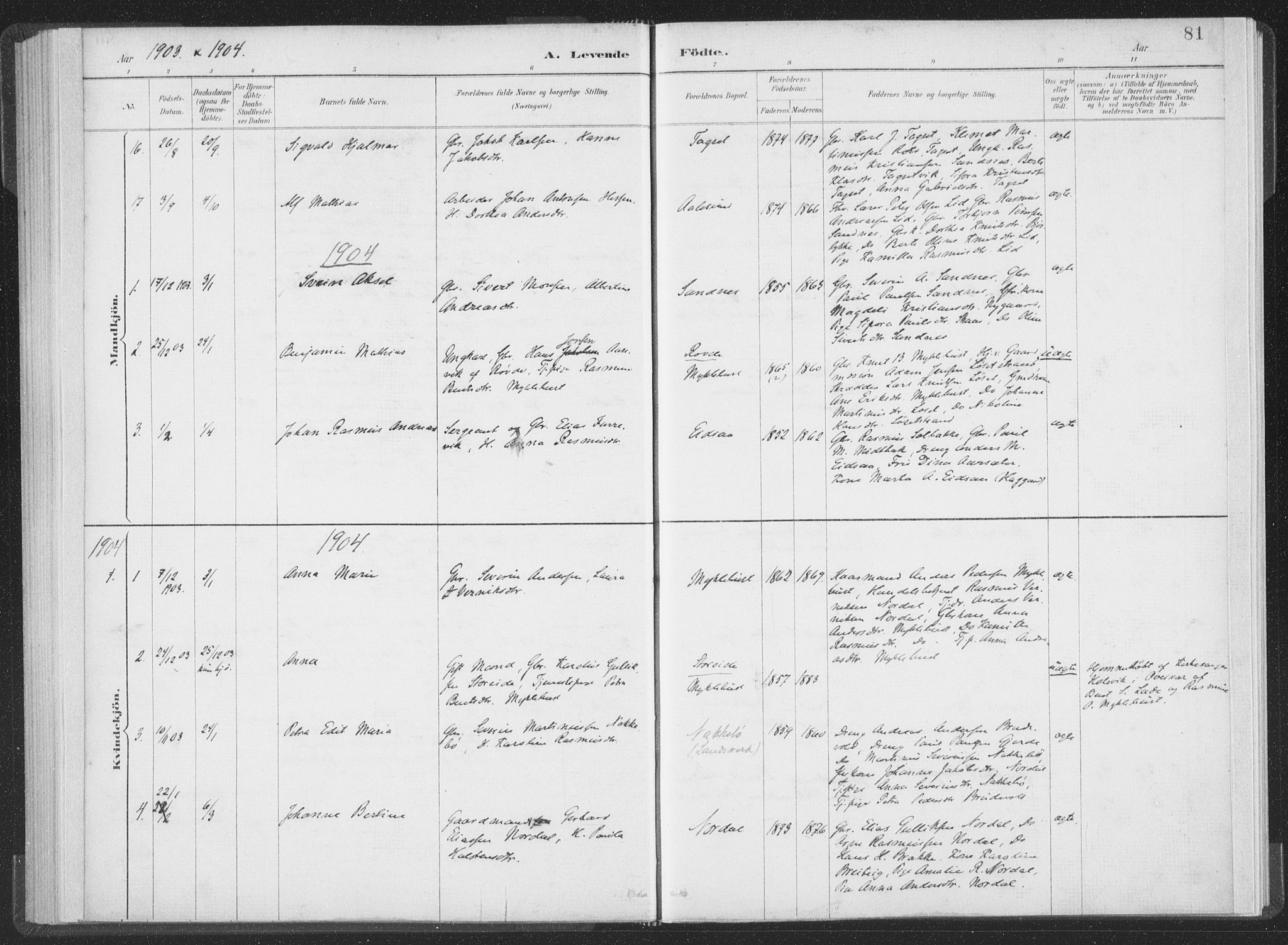 Ministerialprotokoller, klokkerbøker og fødselsregistre - Møre og Romsdal, AV/SAT-A-1454/502/L0025: Parish register (official) no. 502A03, 1885-1909, p. 81