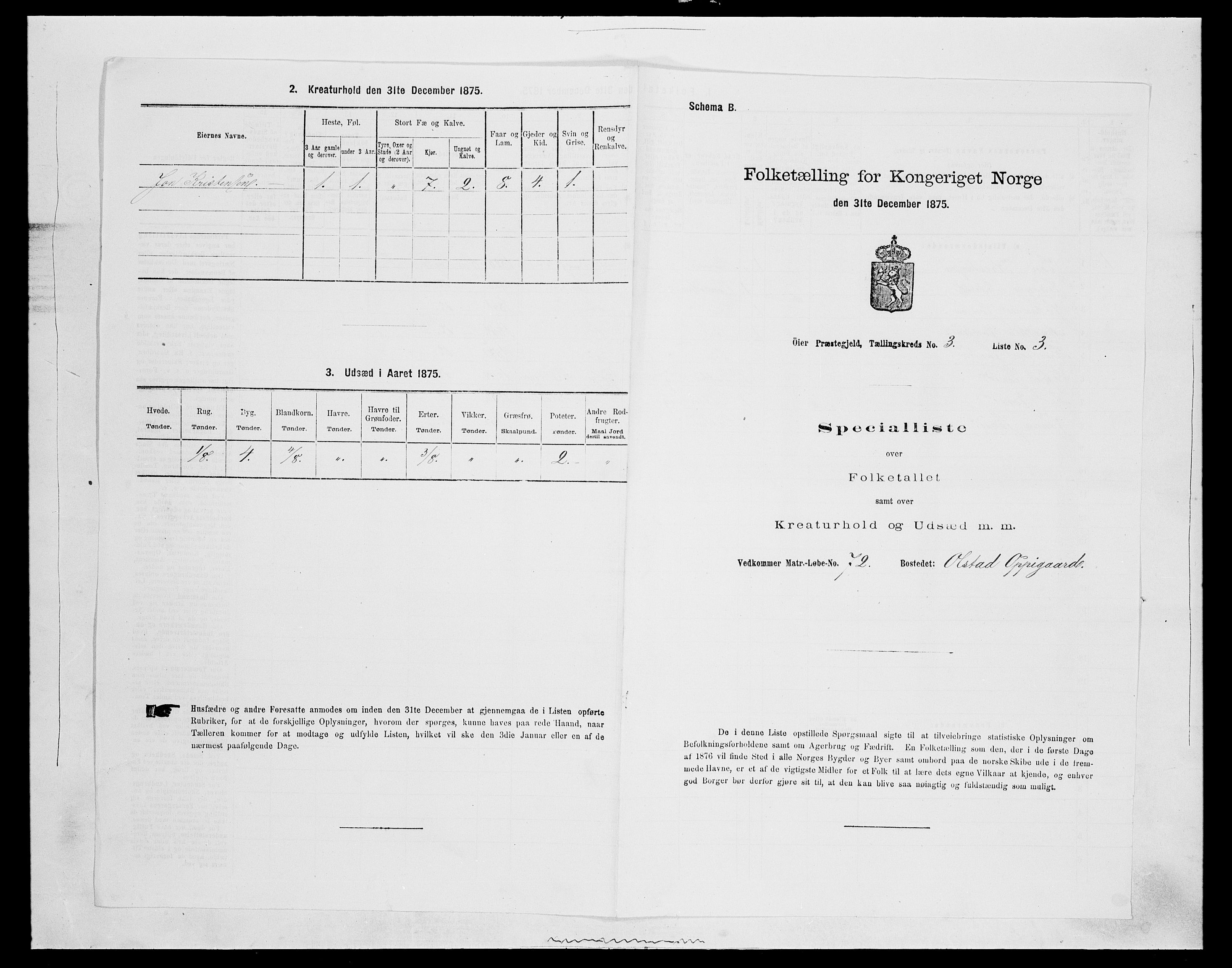 SAH, 1875 census for 0521P Øyer, 1875, p. 492