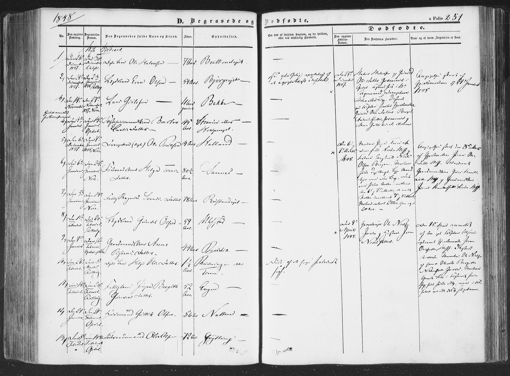Rollag kirkebøker, SAKO/A-240/F/Fa/L0008: Parish register (official) no. I 8, 1847-1860, p. 251