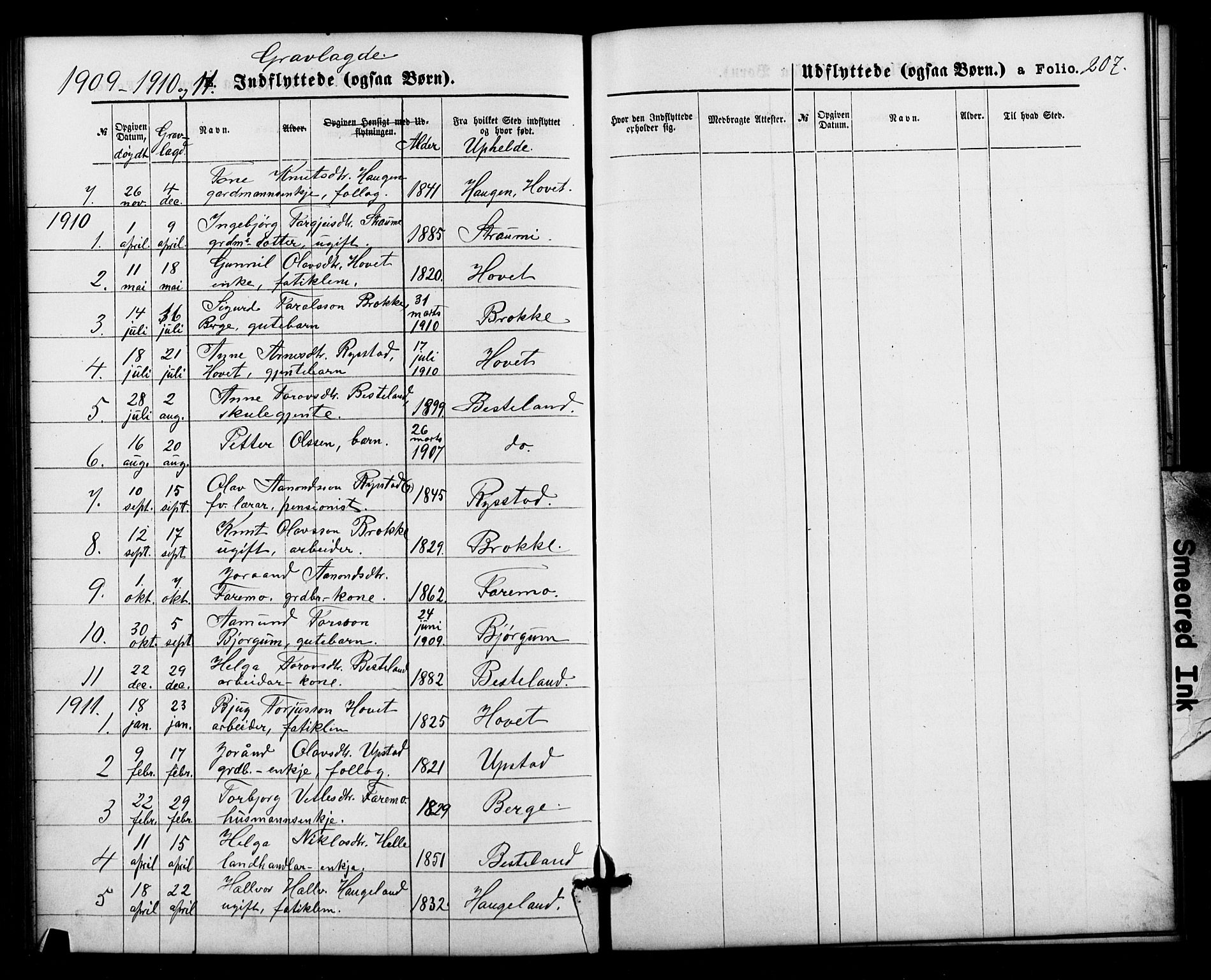 Valle sokneprestkontor, SAK/1111-0044/F/Fb/Fbb/L0002: Parish register (copy) no. B 2, 1875-1921, p. 207