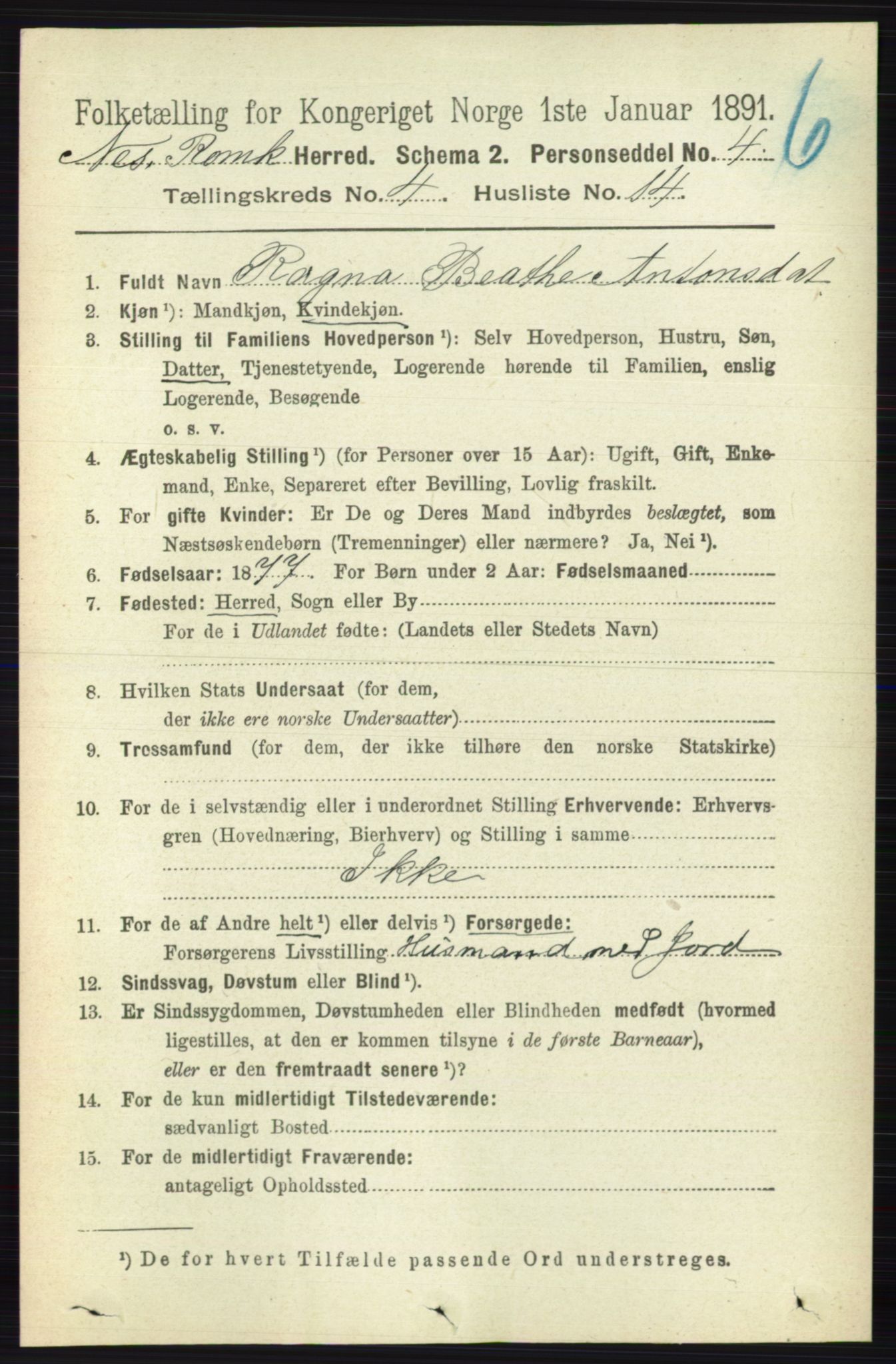 RA, 1891 census for 0236 Nes, 1891, p. 2335