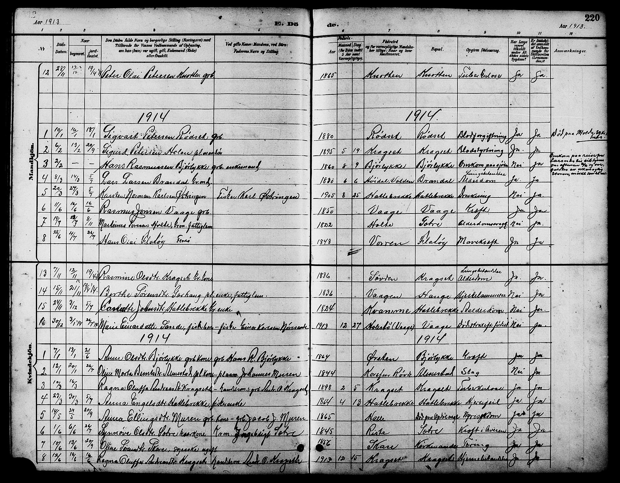 Ministerialprotokoller, klokkerbøker og fødselsregistre - Møre og Romsdal, AV/SAT-A-1454/503/L0049: Parish register (copy) no. 503C04, 1894-1915, p. 220