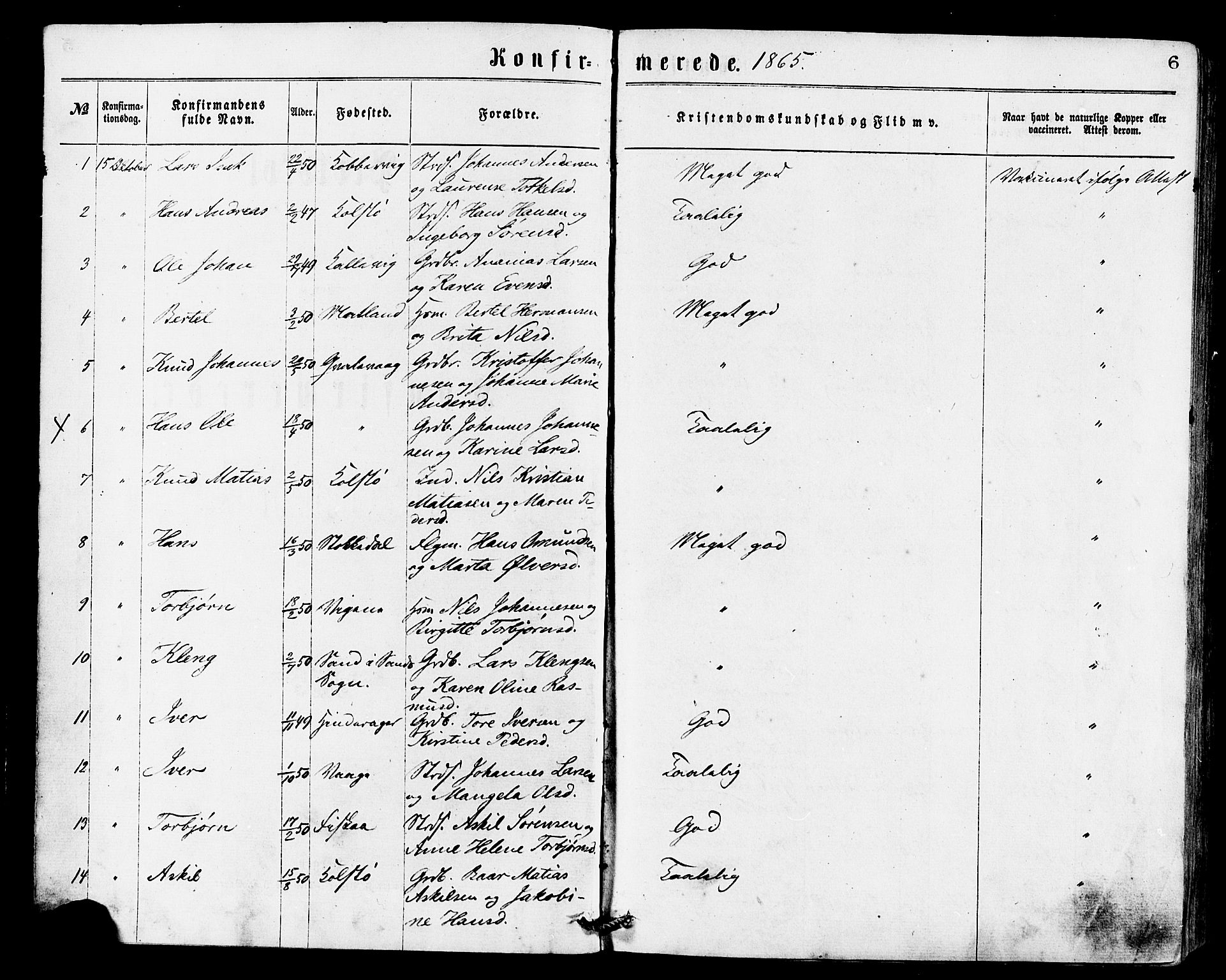 Avaldsnes sokneprestkontor, SAST/A -101851/H/Ha/Haa/L0012: Parish register (official) no. A 12, 1865-1880, p. 6