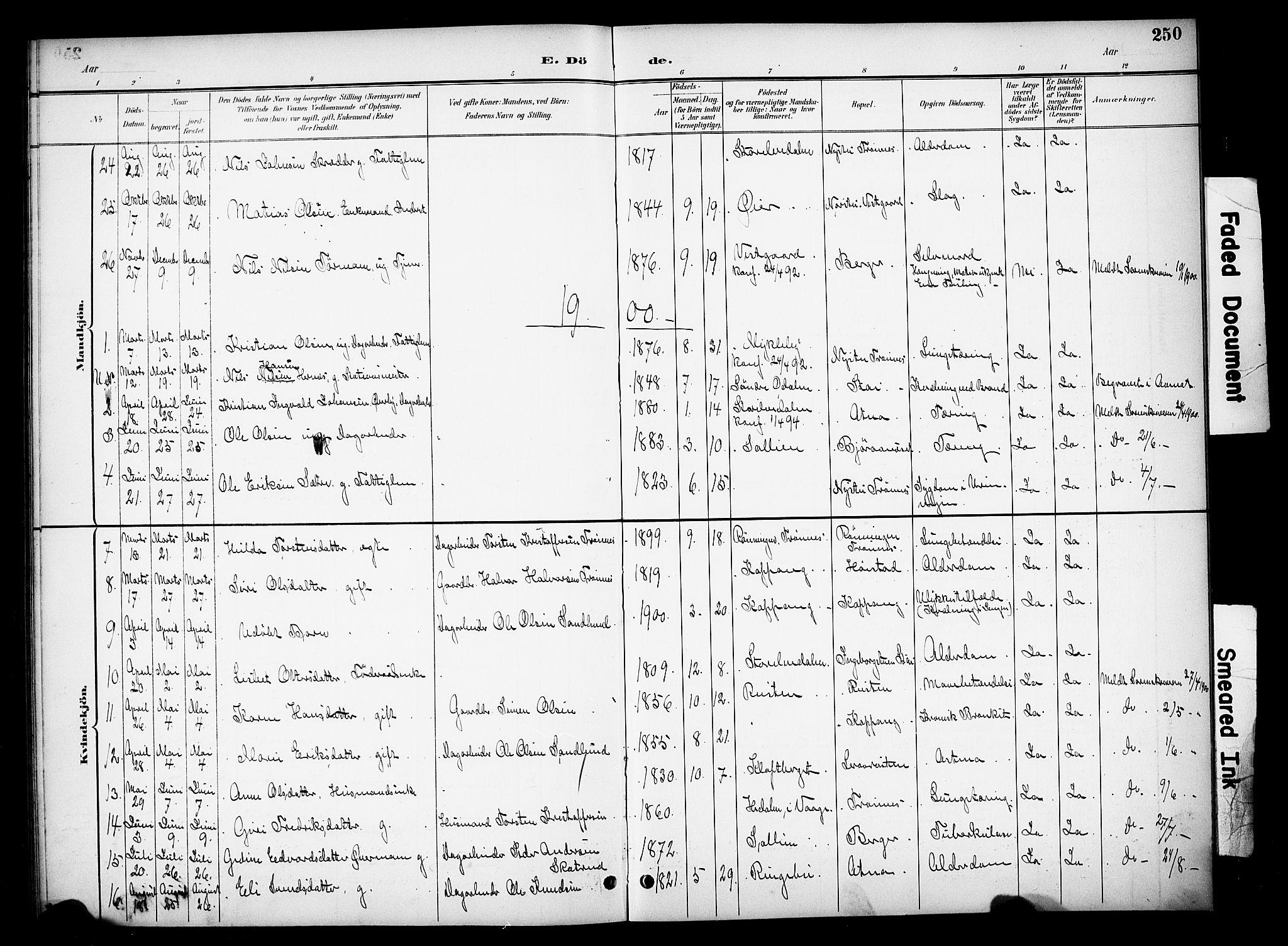 Stor-Elvdal prestekontor, SAH/PREST-052/H/Ha/Hab/L0003: Parish register (copy) no. 3, 1895-1917, p. 250