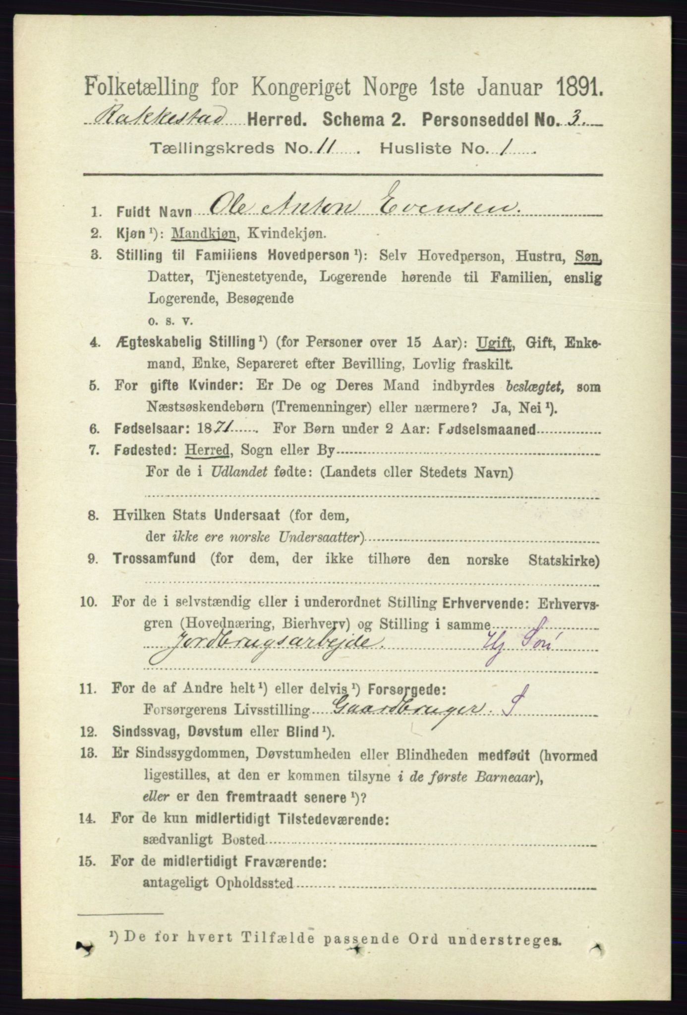 RA, 1891 census for 0128 Rakkestad, 1891, p. 5163