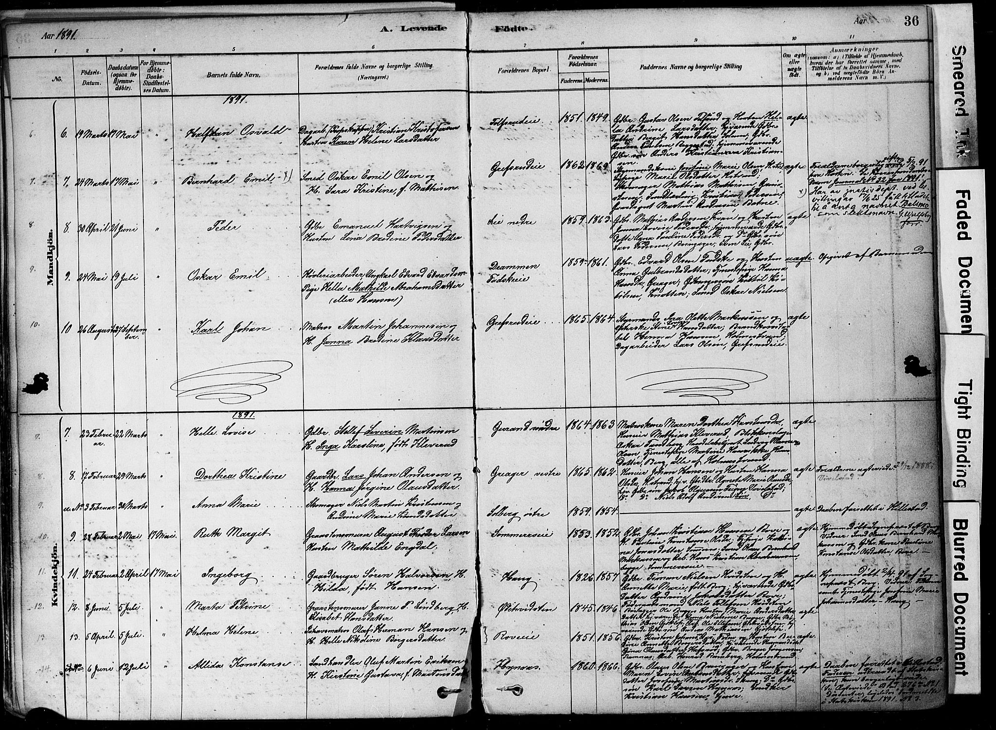 Botne kirkebøker, AV/SAKO-A-340/F/Fa/L0007: Parish register (official) no. I 7, 1878-1910, p. 36