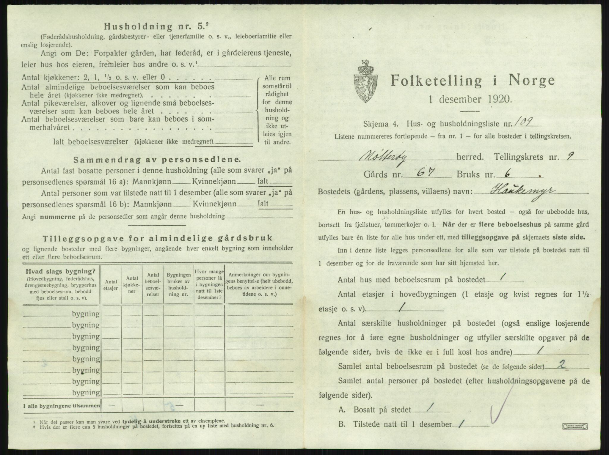 SAKO, 1920 census for Nøtterøy, 1920, p. 1954
