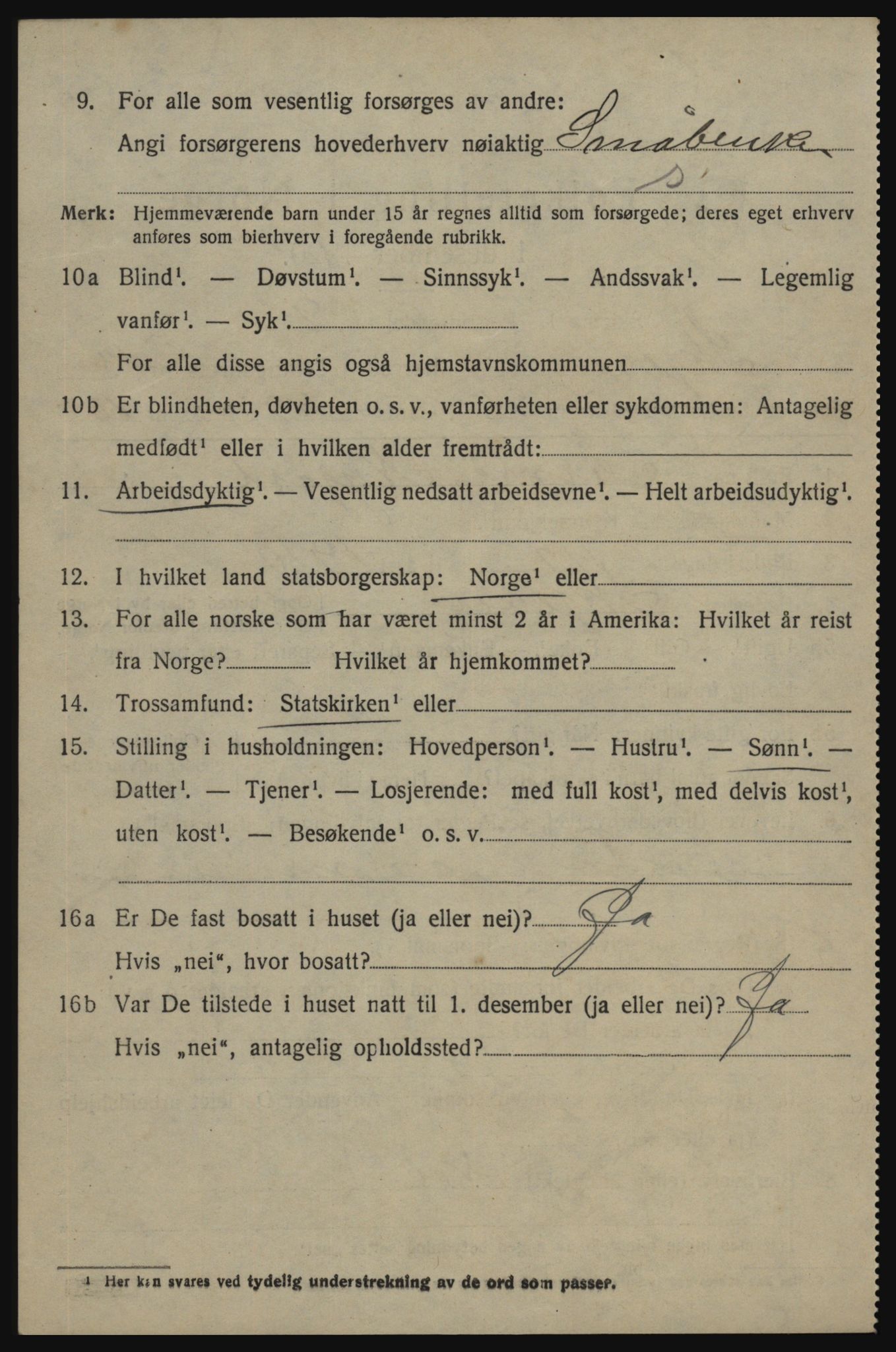 SAO, 1920 census for Skjeberg, 1920, p. 12978