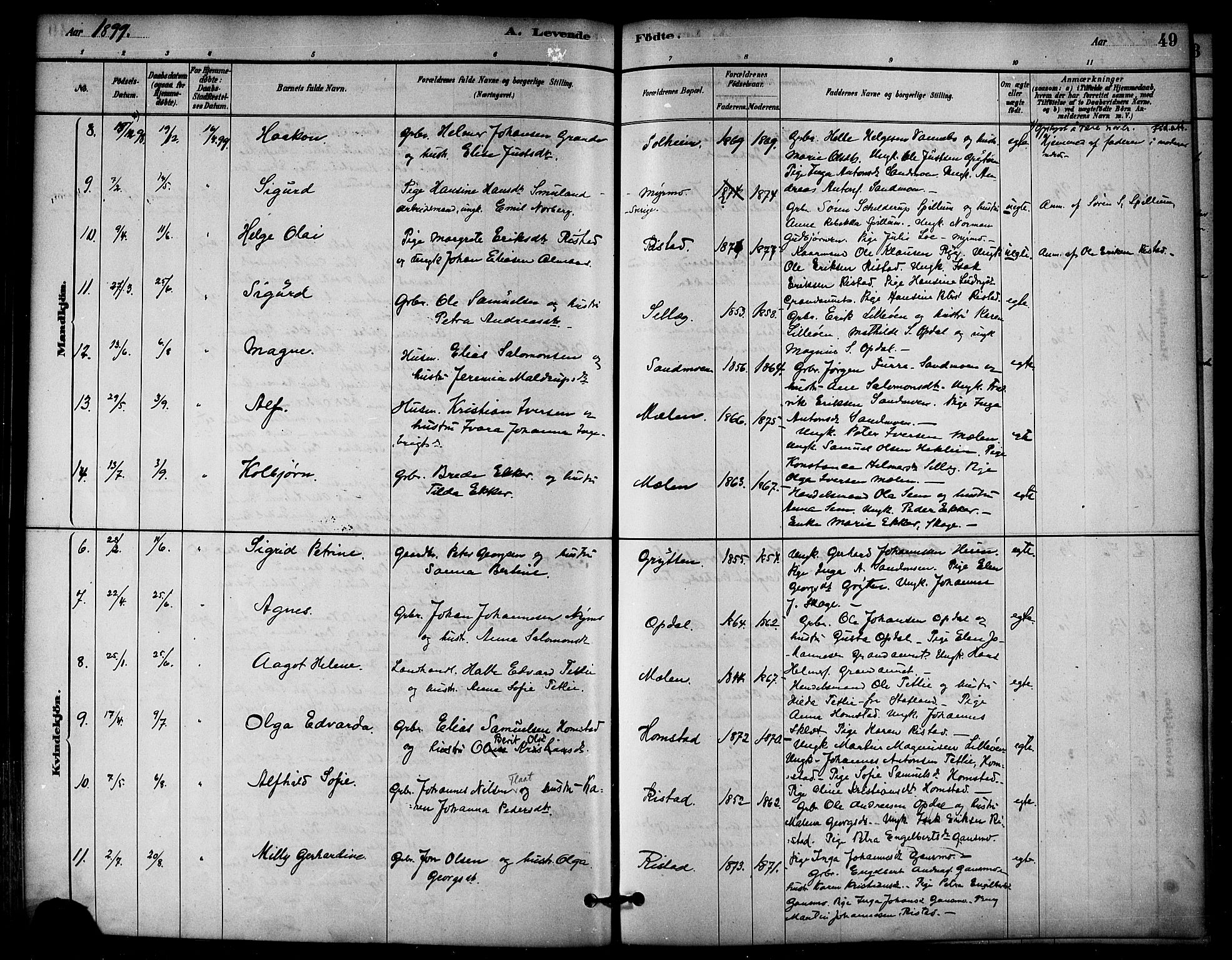 Ministerialprotokoller, klokkerbøker og fødselsregistre - Nord-Trøndelag, SAT/A-1458/766/L0563: Parish register (official) no. 767A01, 1881-1899, p. 49