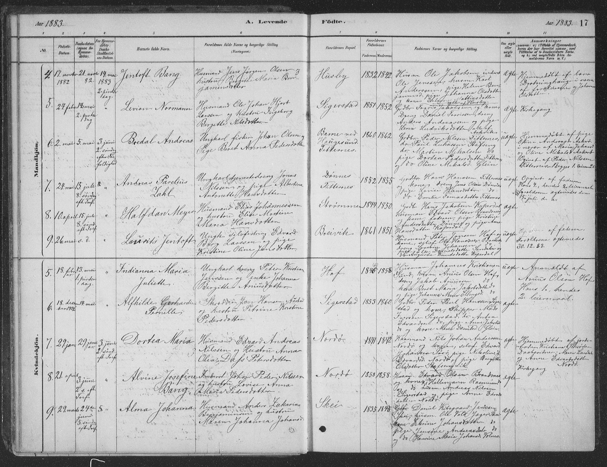 Ministerialprotokoller, klokkerbøker og fødselsregistre - Nordland, AV/SAT-A-1459/835/L0532: Parish register (copy) no. 835C04, 1880-1905, p. 17