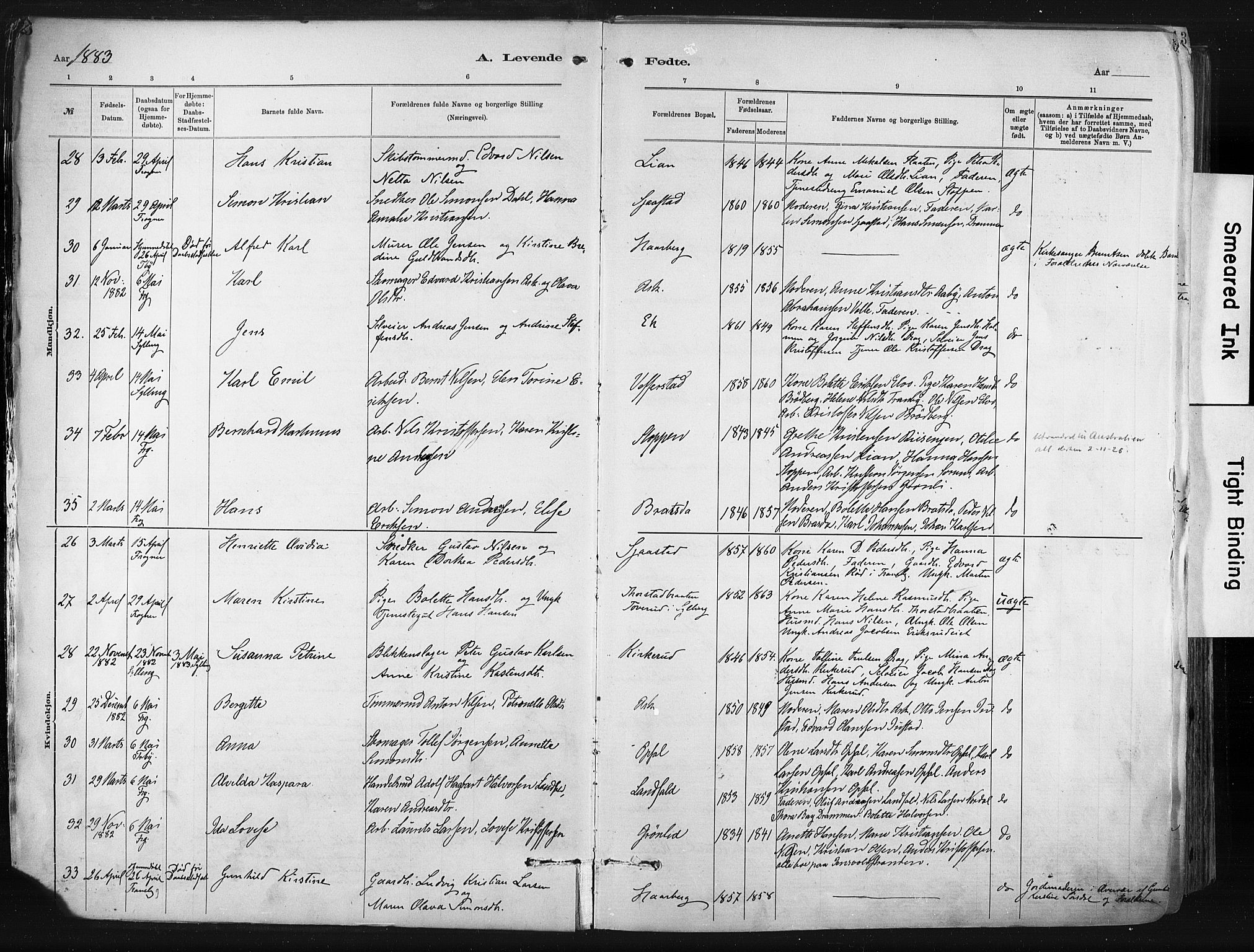 Lier kirkebøker, SAKO/A-230/F/Fa/L0015: Parish register (official) no. I 15, 1883-1894, p. 5